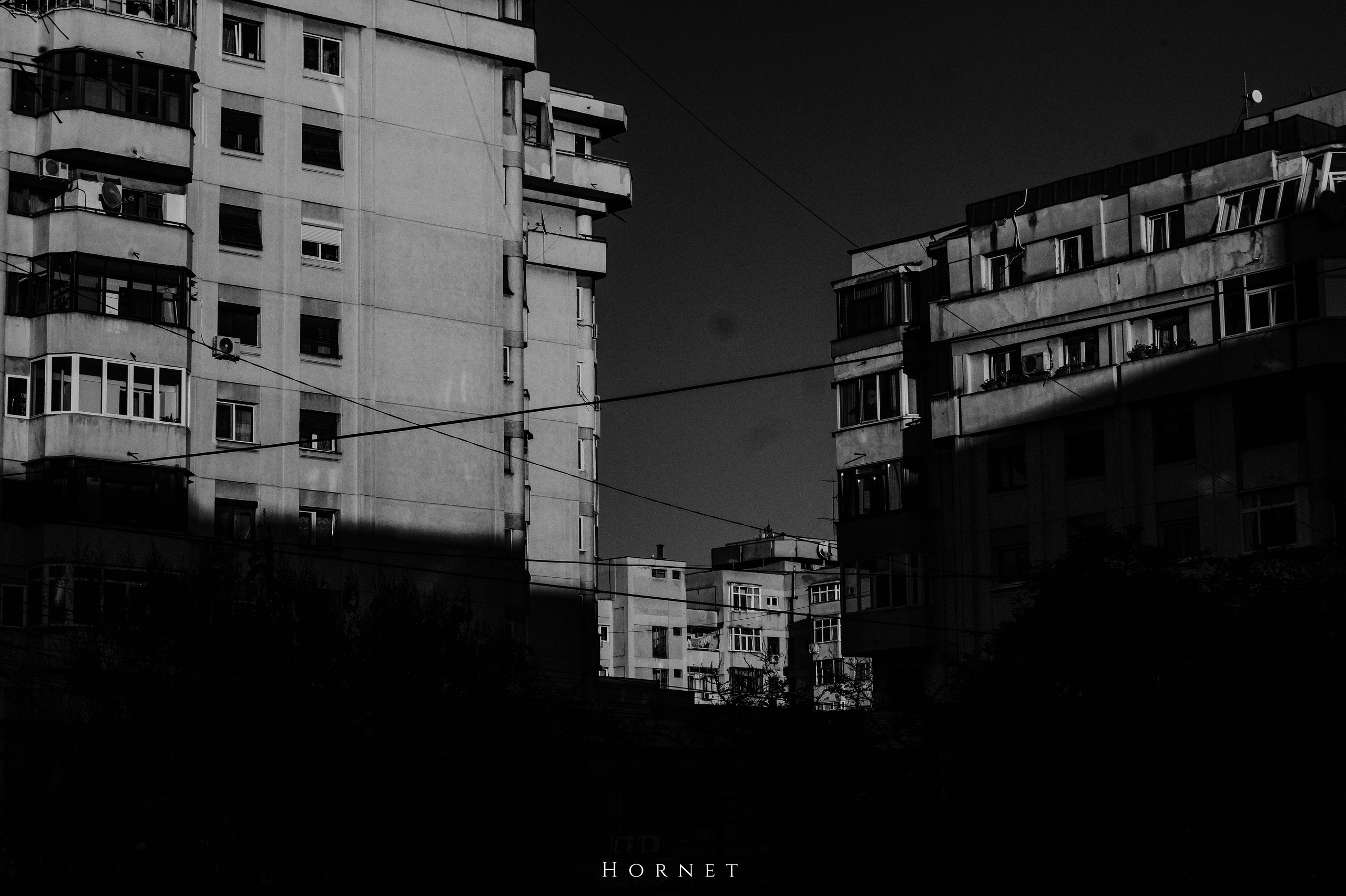 2.11.2025 Ploiesti | Romania. Hornetart