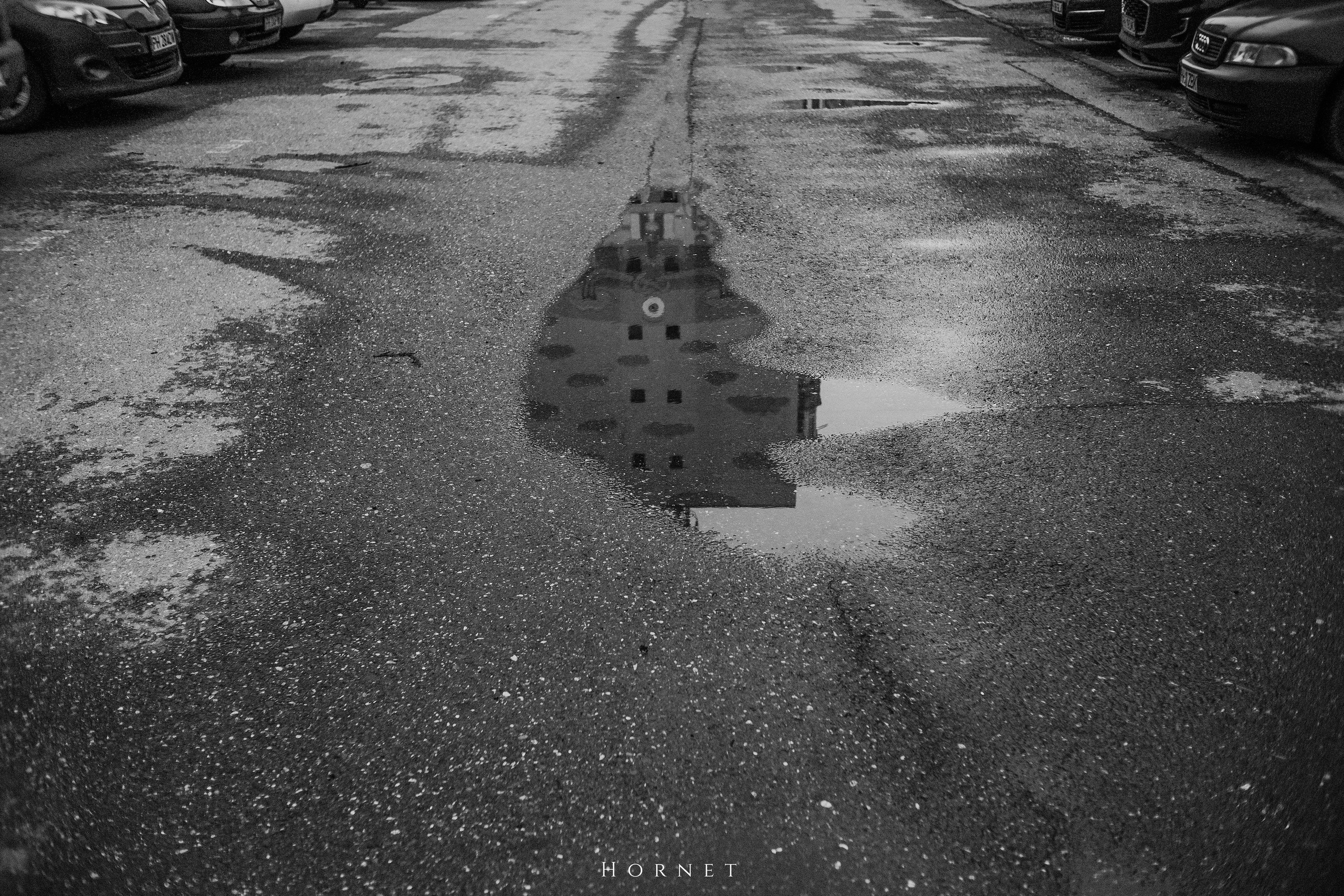 29.03.2025 Ploiesti | Romania. Hornetart