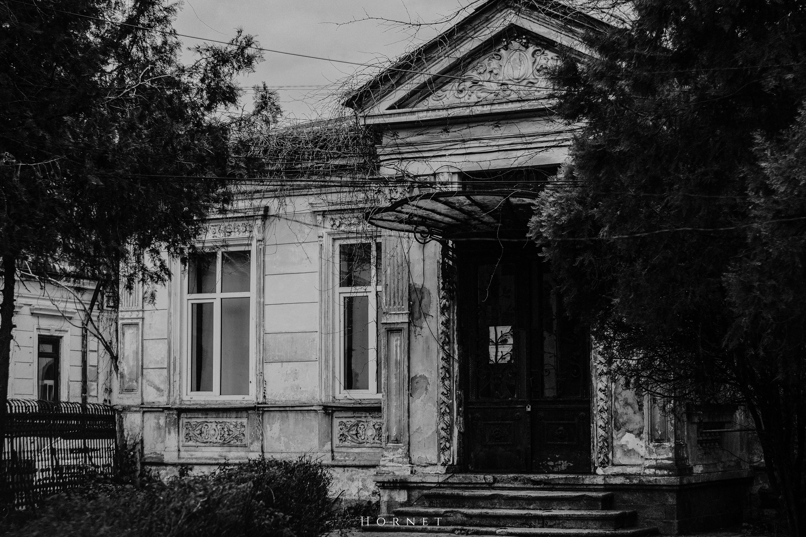 5.04.2025 Ploiesti | Romania. Hornetart