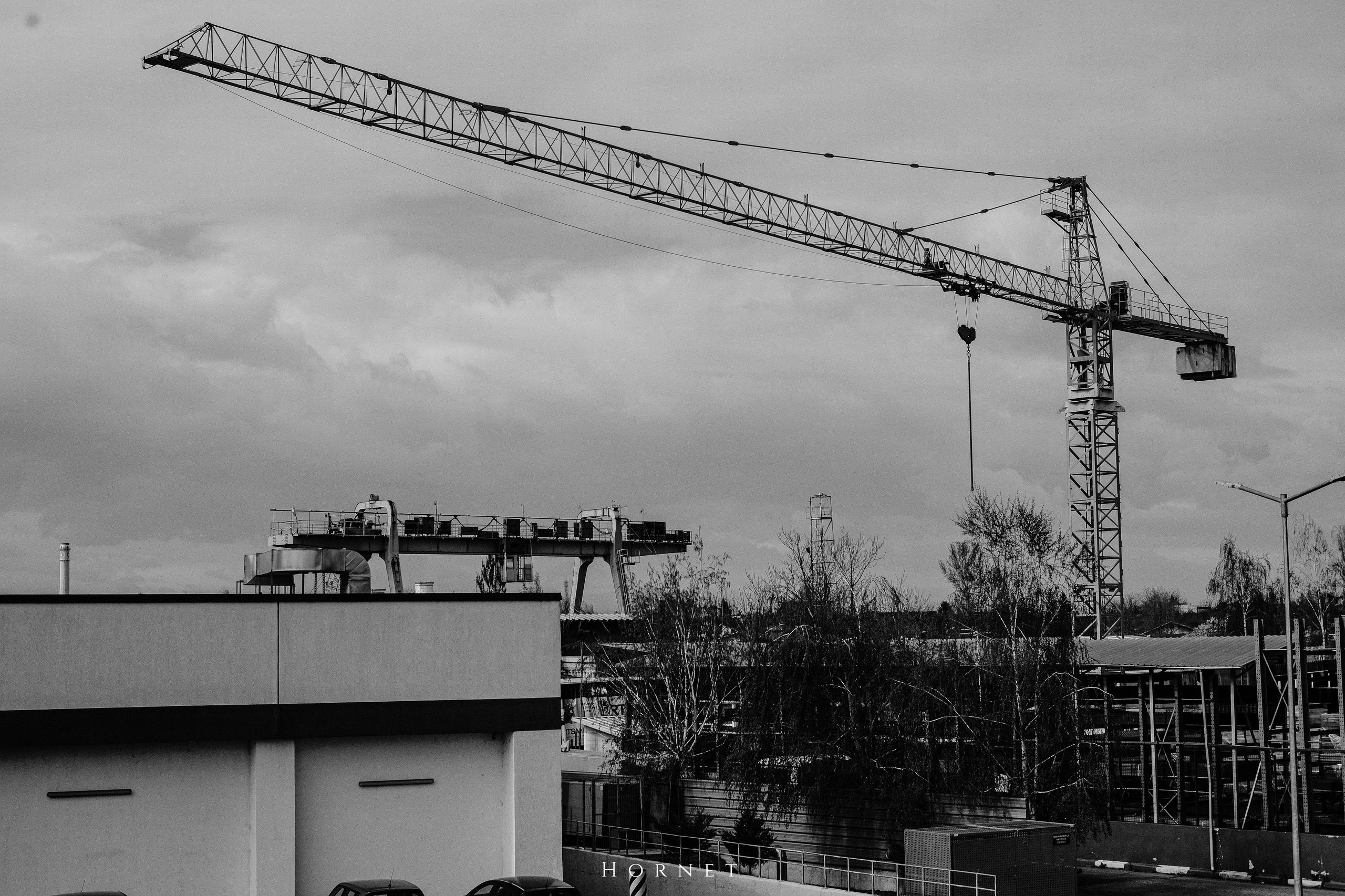 12.04.2025 Ploiesti | Romania. Hornetart