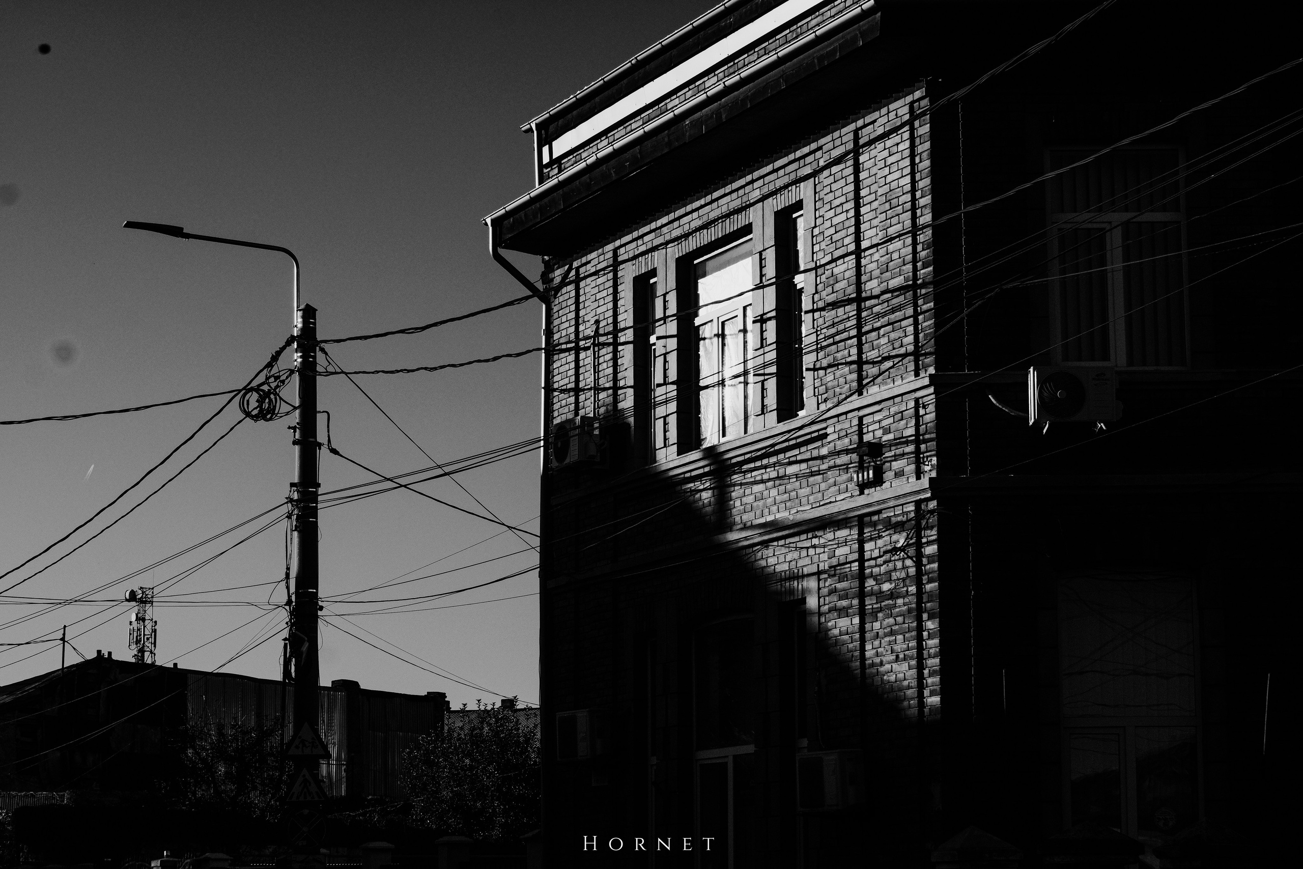 2.11.2025 Ploiesti | Romania. Hornetart