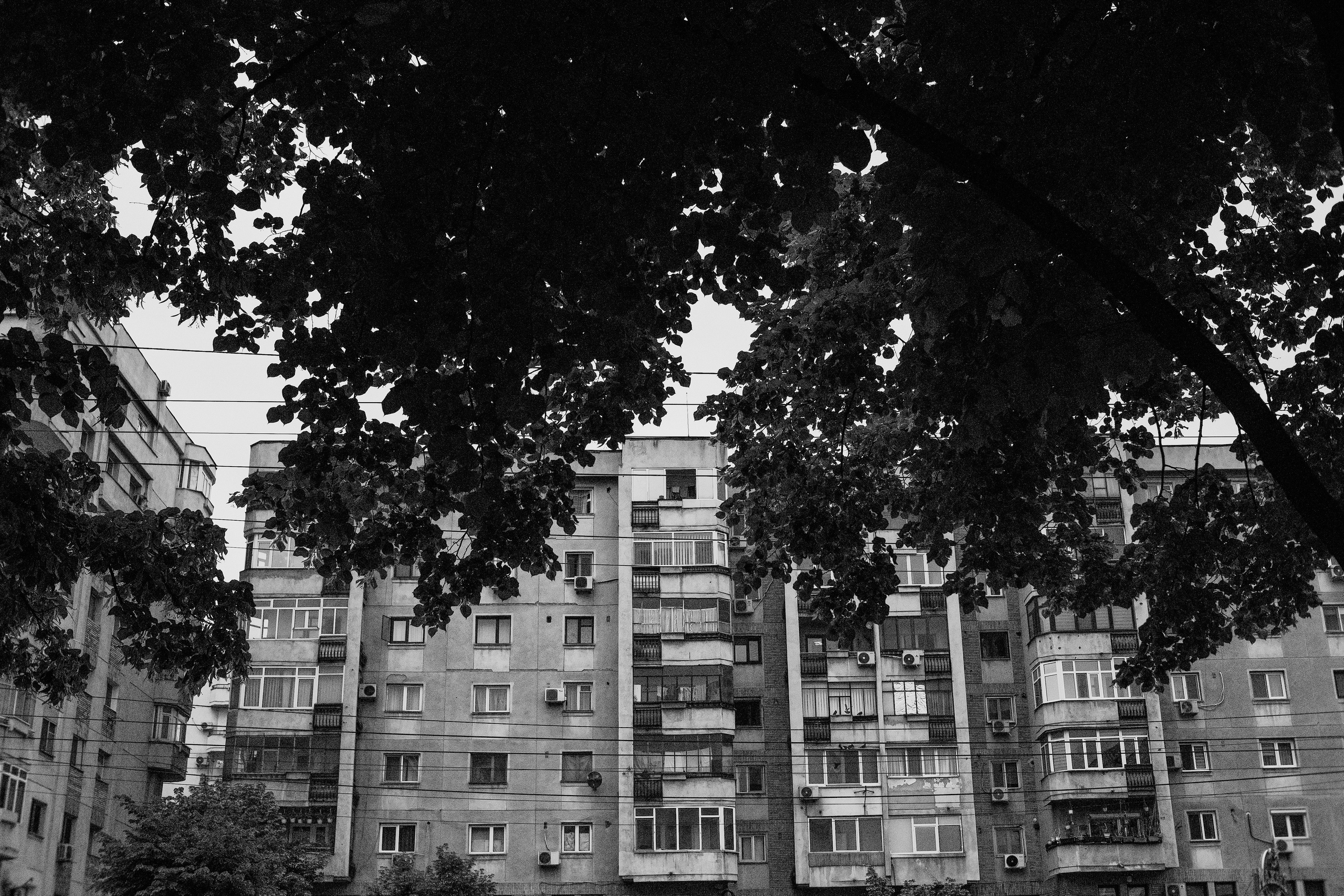 10.05.2025 Ploiesti | Romania. Hornetart