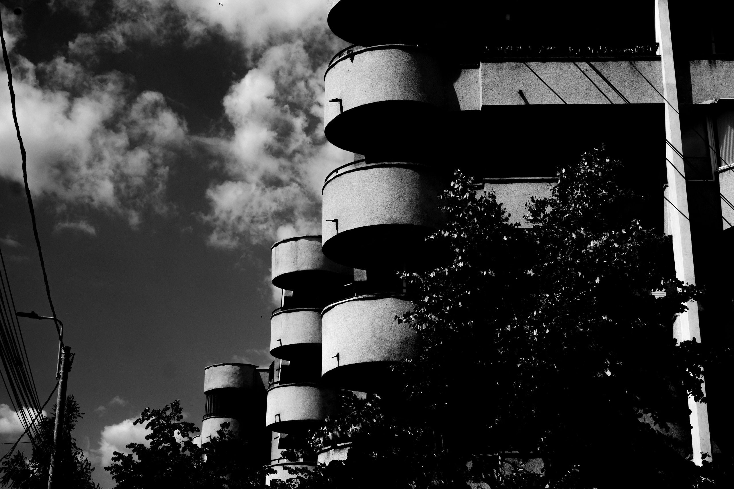 21.06.2025 Ploiesti | Romania. Hornetart