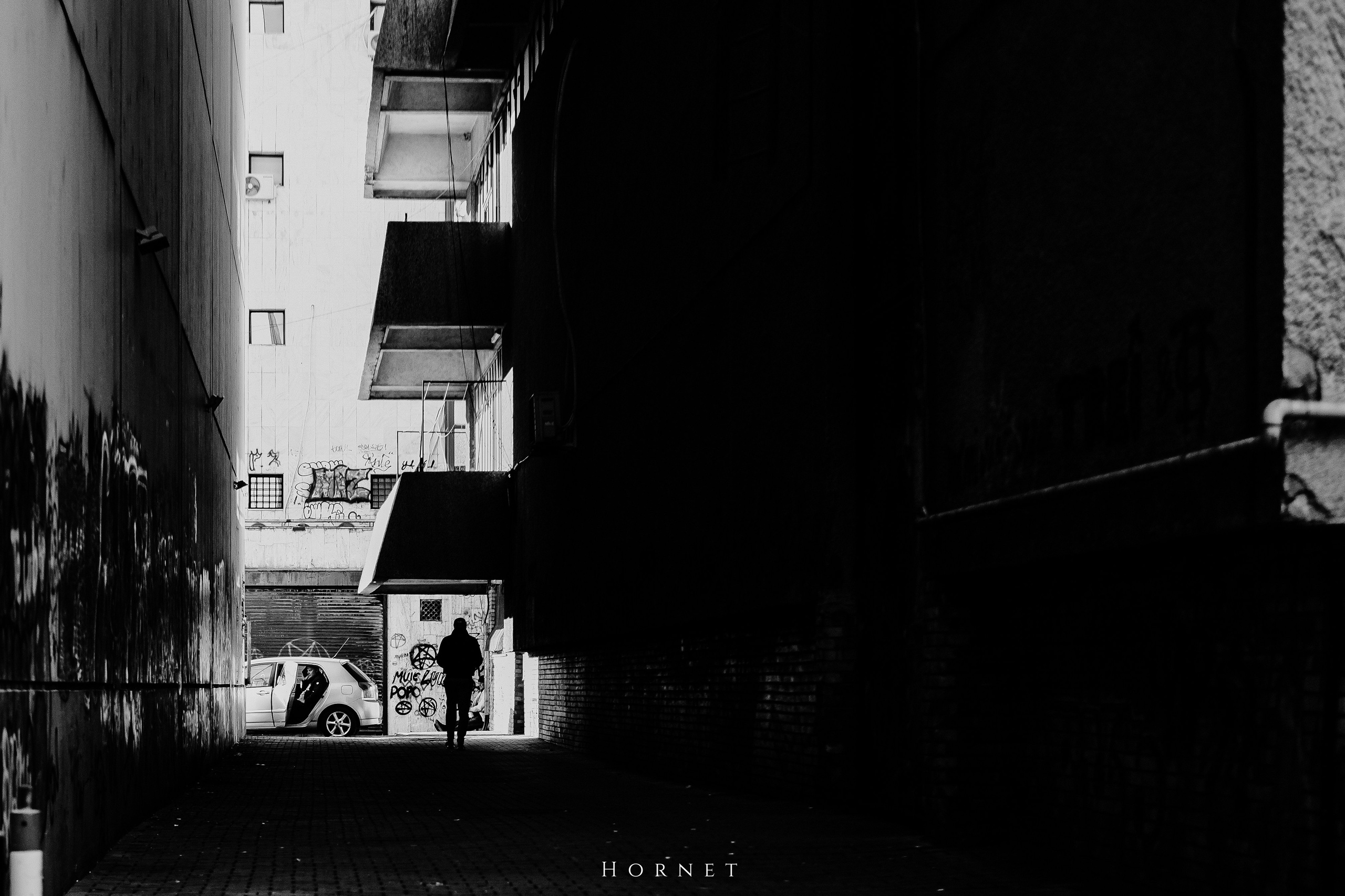 14.03.2026 Ploiesti | Romania. Hornetart