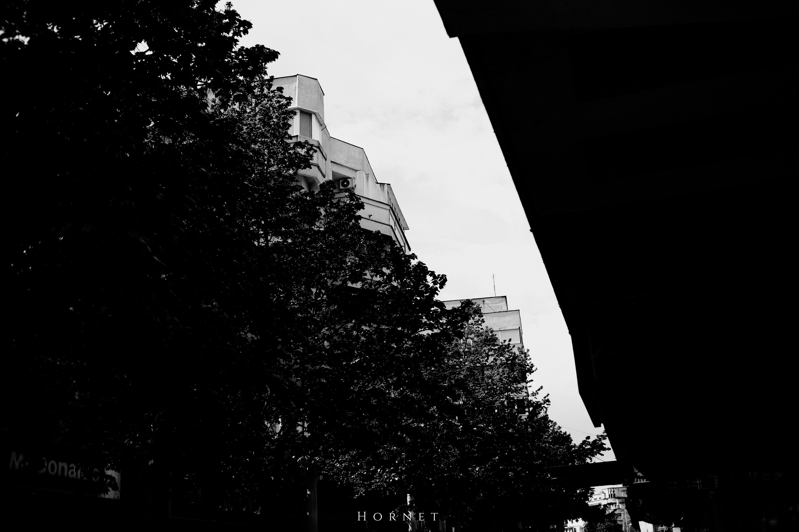 21.04.2025 Ploiesti | Romania. Hornetart