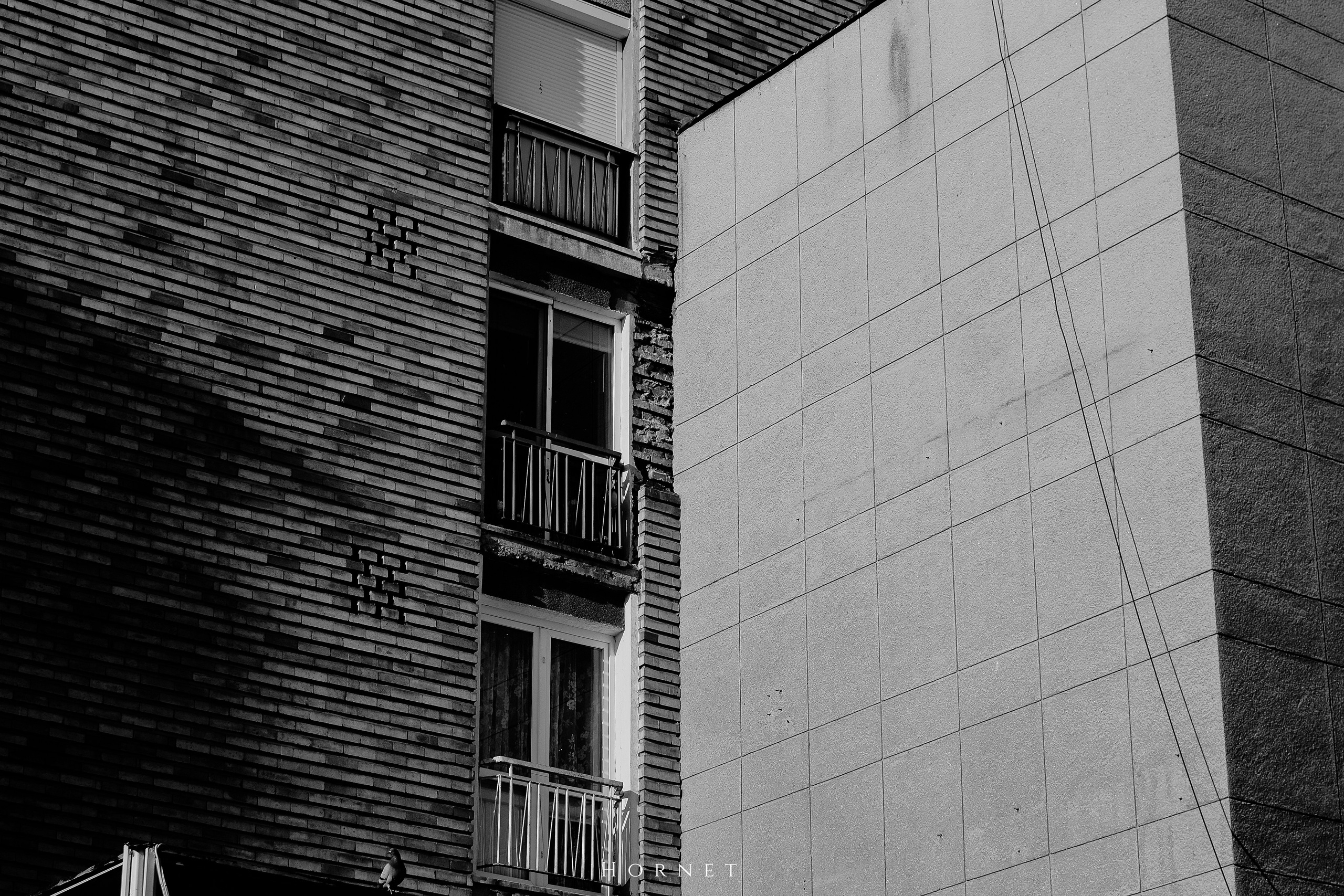 7.02.2025 Ploiesti | Romania. Hornetart