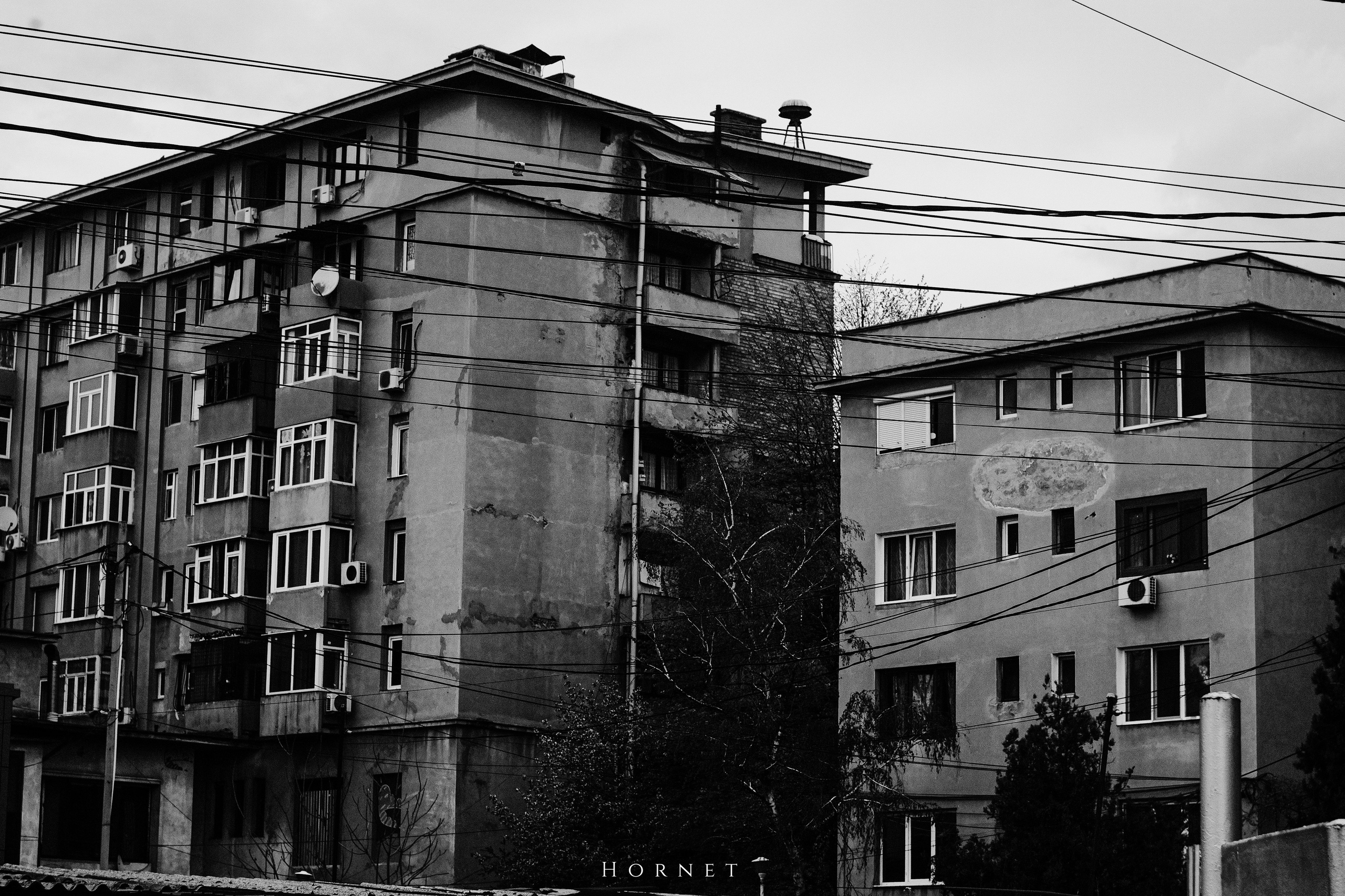 5.04.2025 Ploiesti | Romania. Hornetart