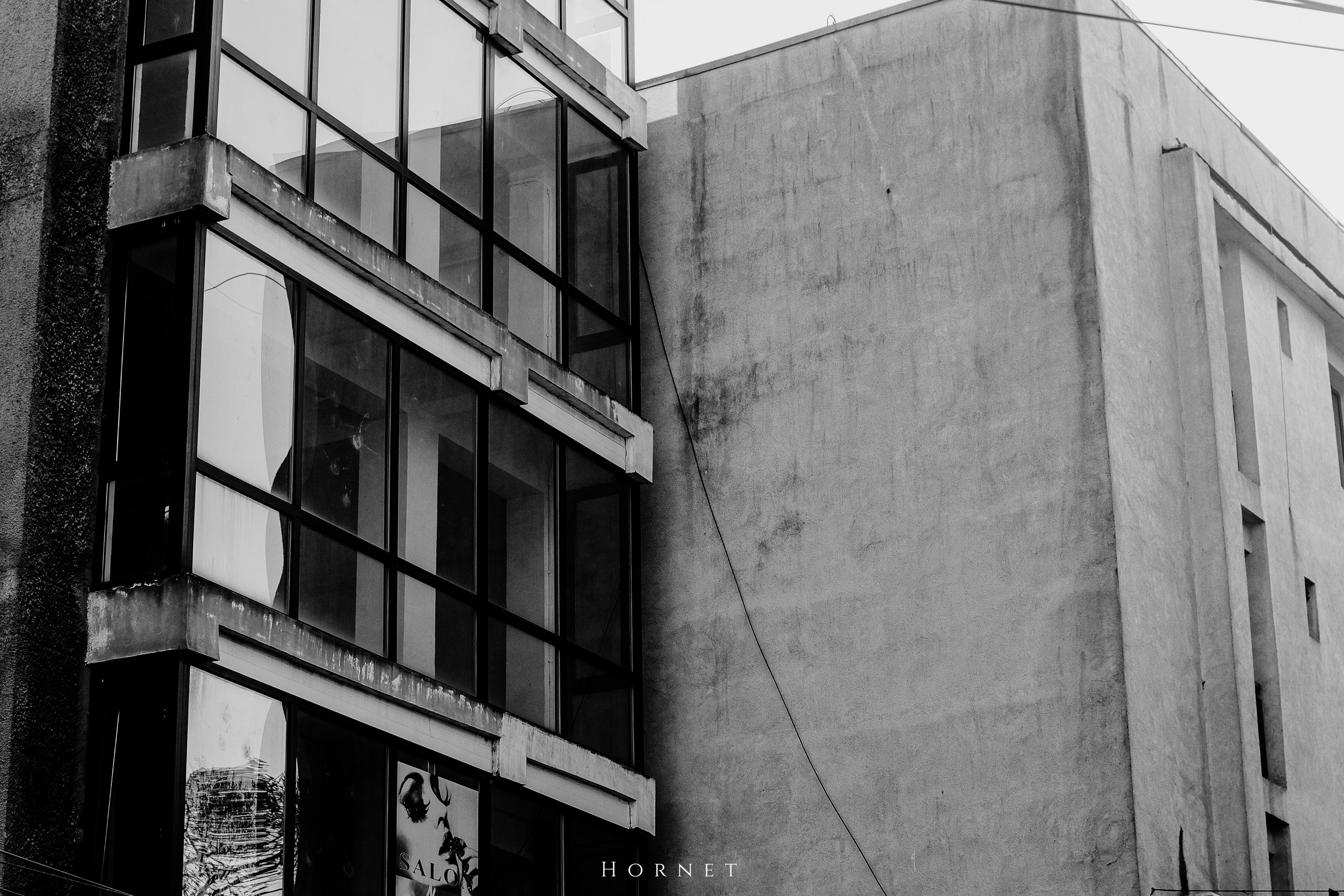 7.02.2025 Ploiesti | Romania. Hornetart