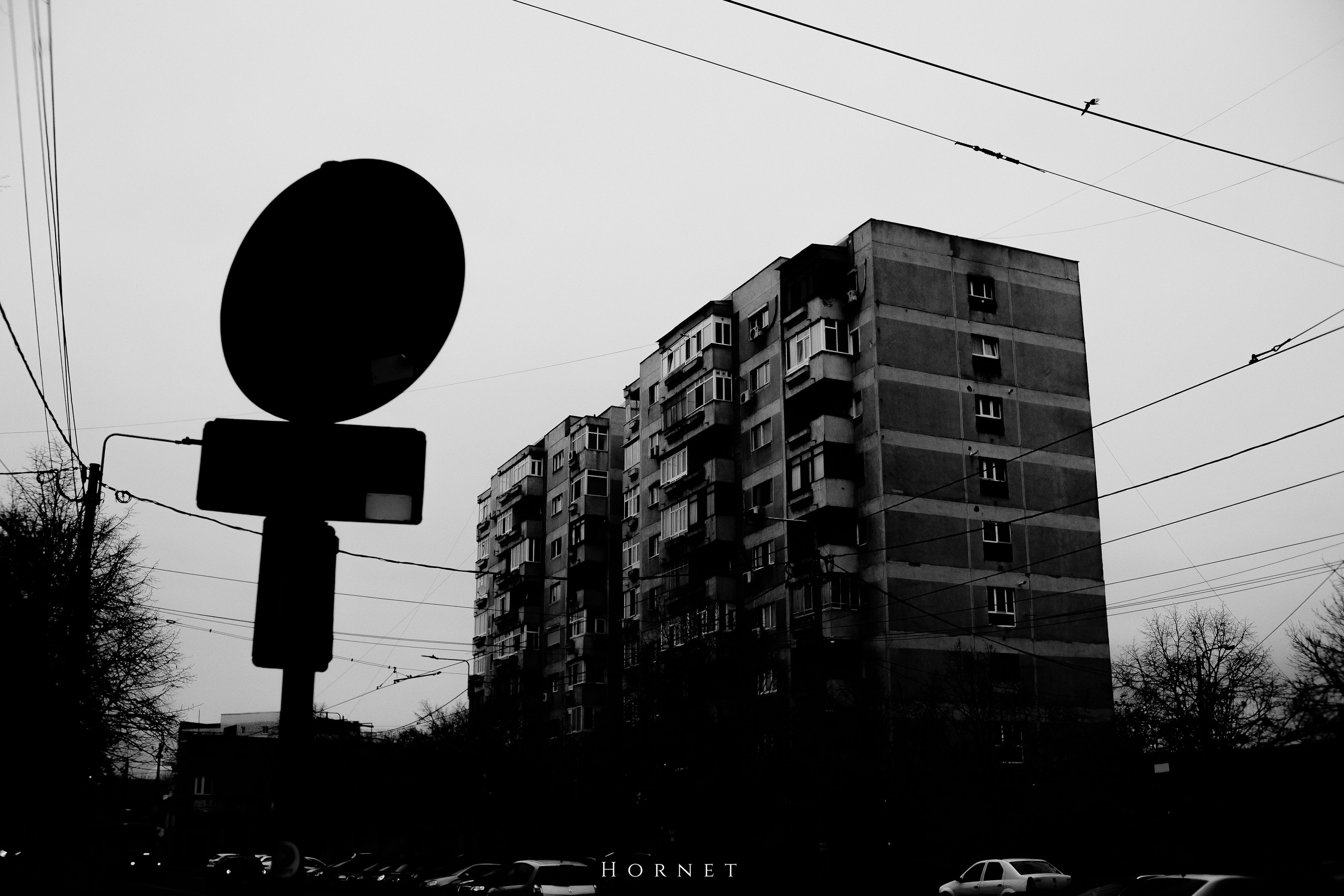 29.03.2025 Ploiesti | Romania. Hornetart