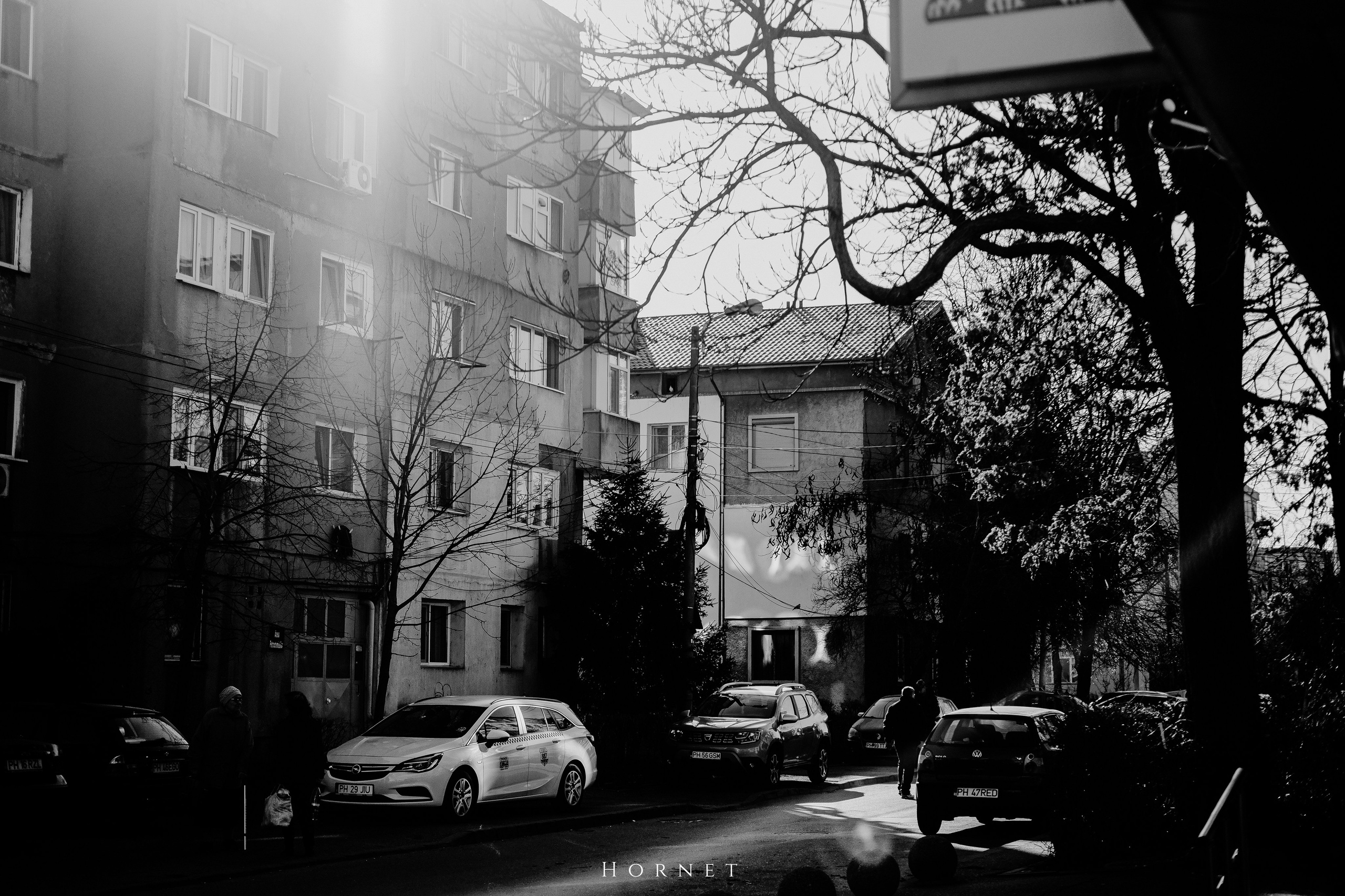 14.03.2026 Ploiesti | Romania. Hornetart