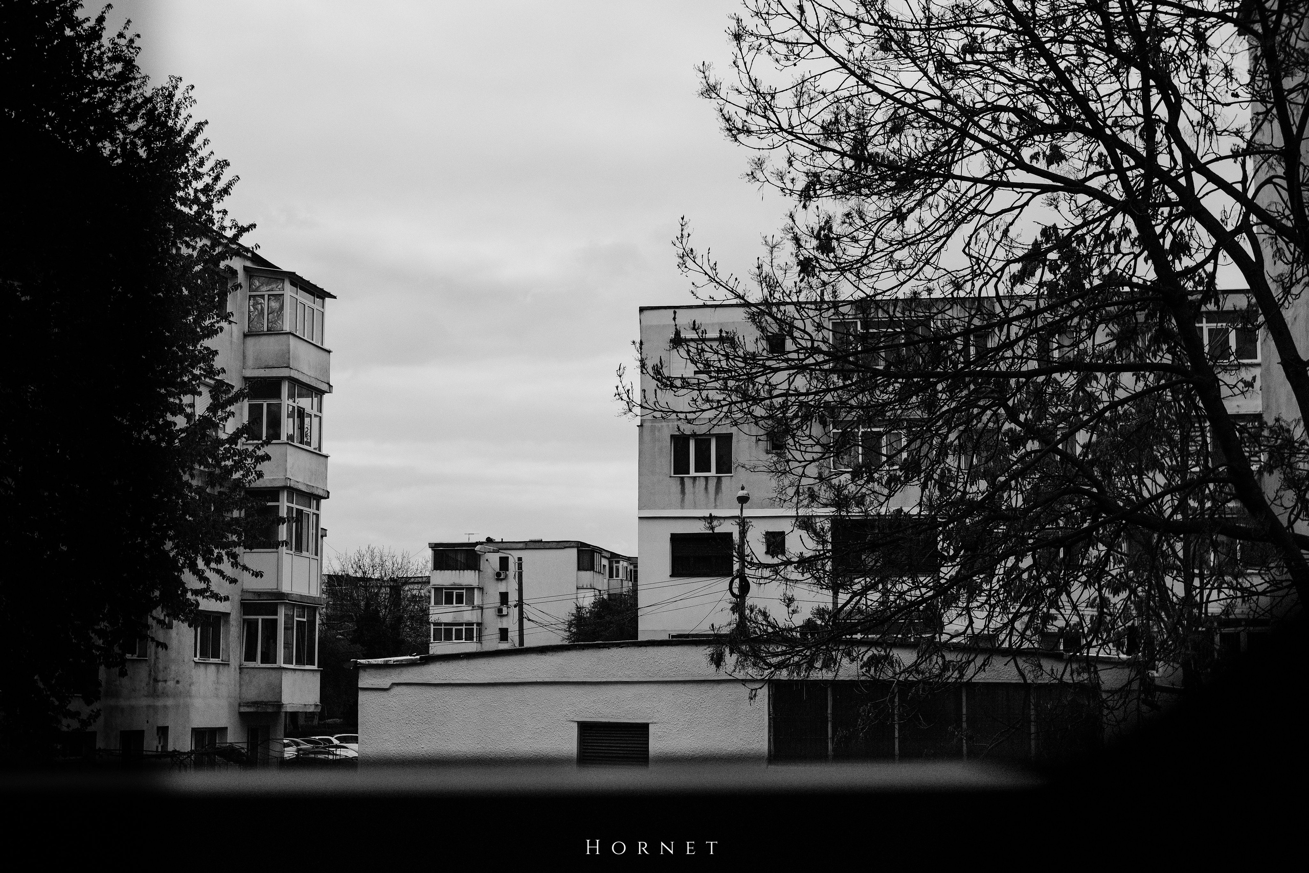 12.04.2025 Ploiesti | Romania. Hornetart