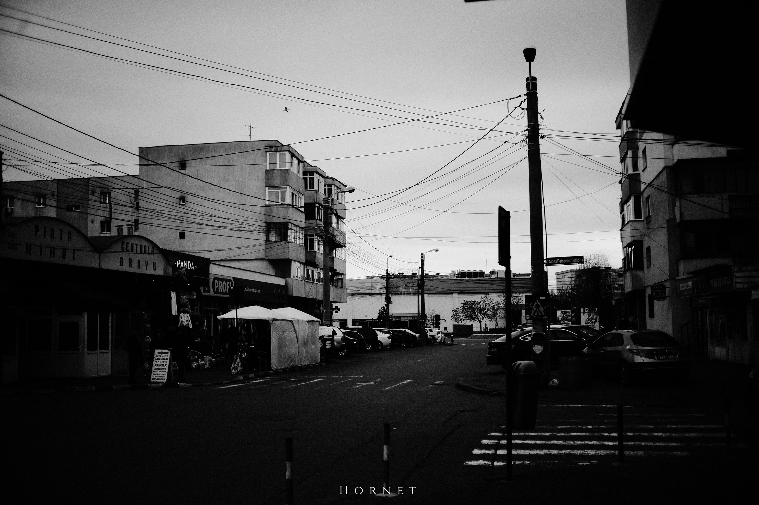 7.01.2025 Ploiesti | Romania. Hornetart