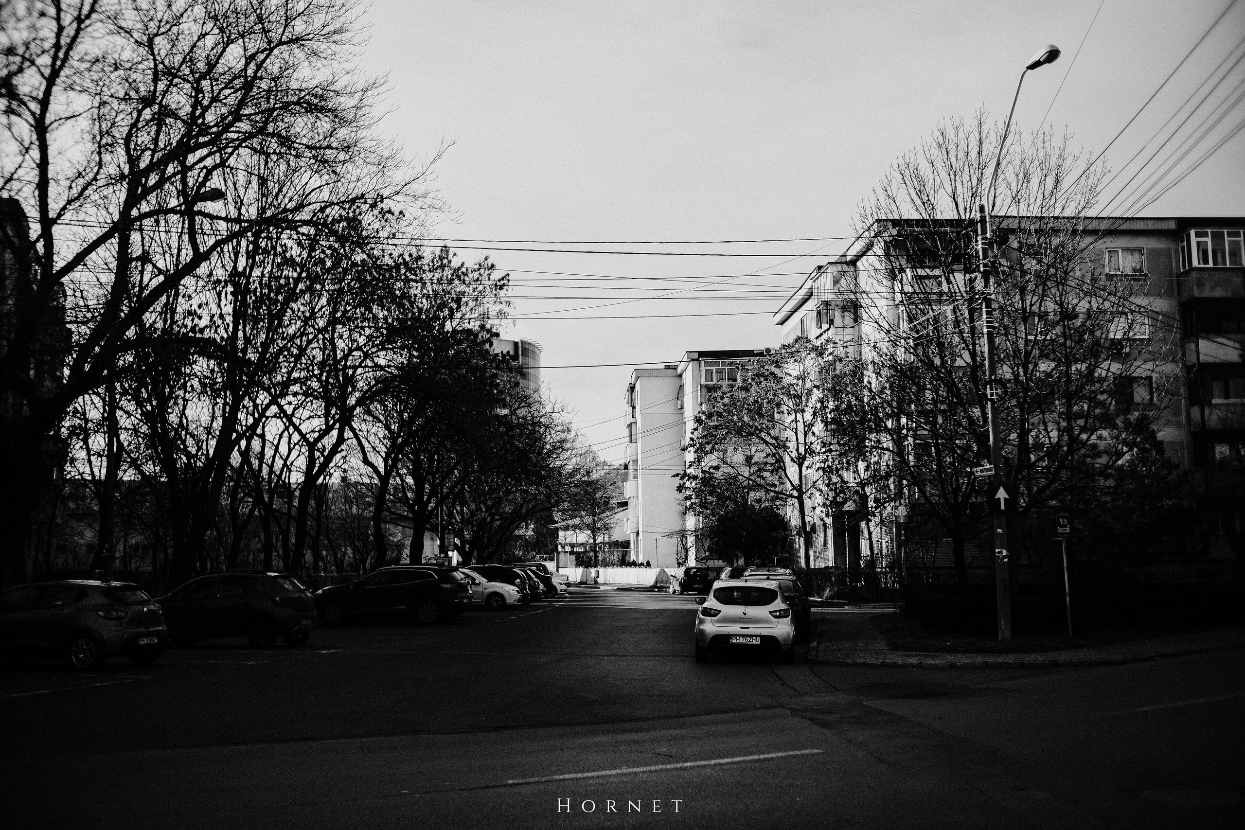 12.01.2025 Ploiesti | Romania. Hornetart