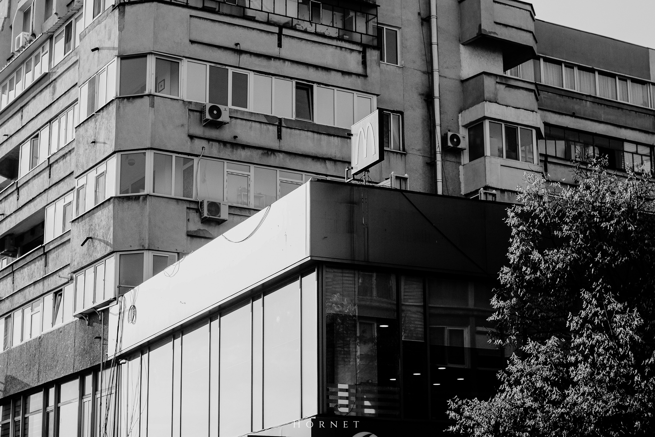 7.02.2025 Ploiesti | Romania. Hornetart