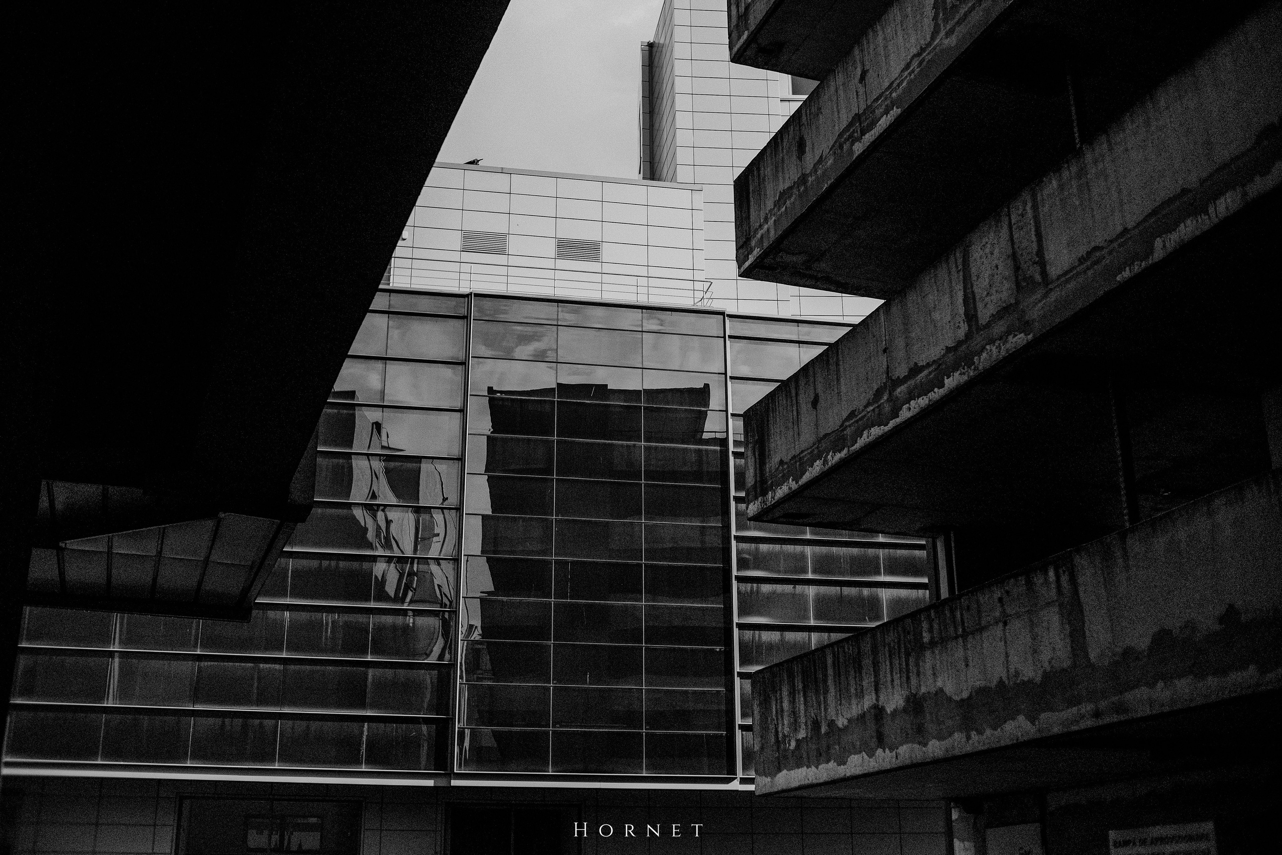 21.04.2025 Ploiesti | Romania. Hornetart