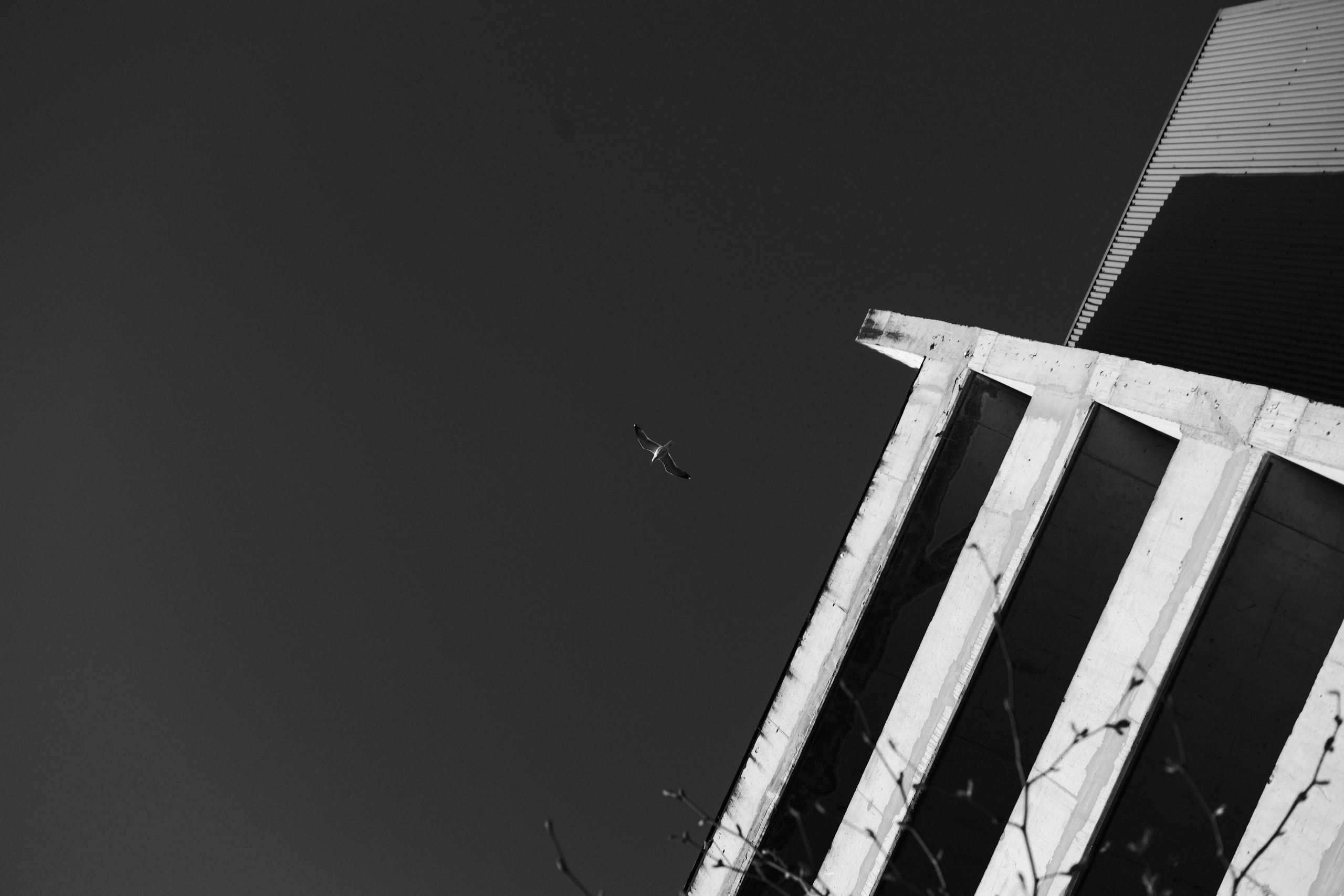 5.04.2026 Ploiesti | Romania. Hornetart