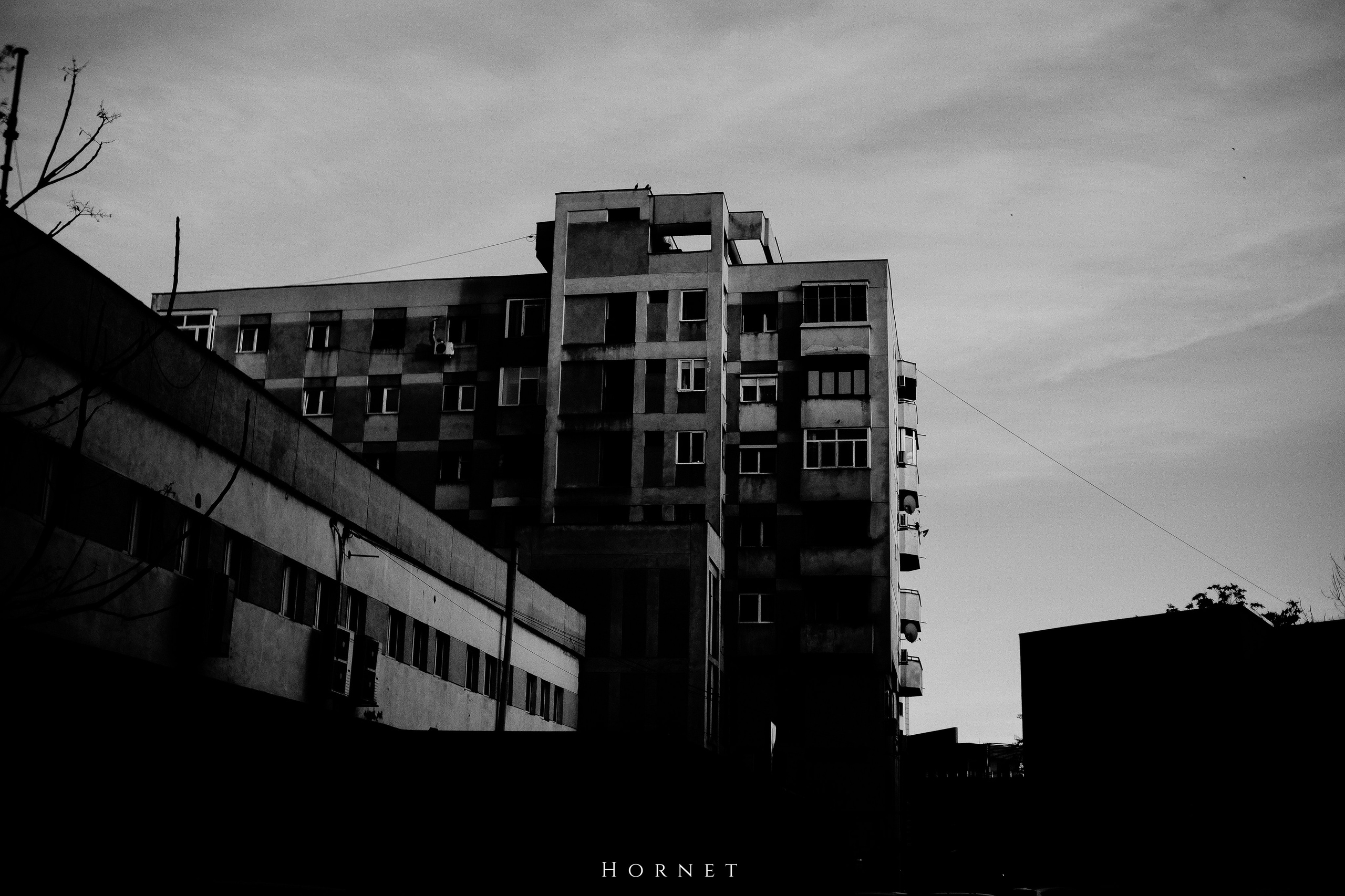12.01.2025 Ploiesti | Romania. Hornetart
