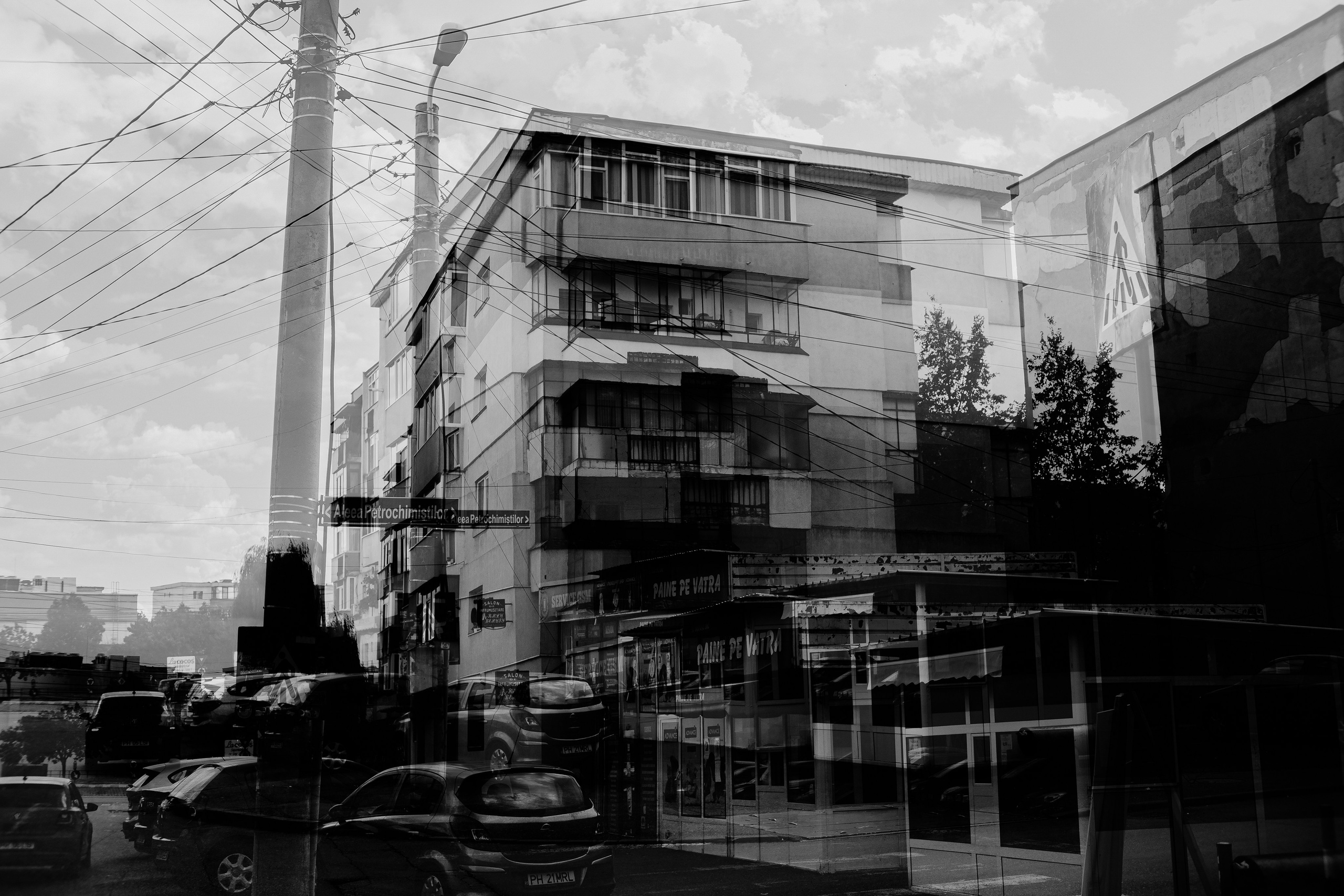 19.07.2025 Ploiesti | Romania. Hornetart
