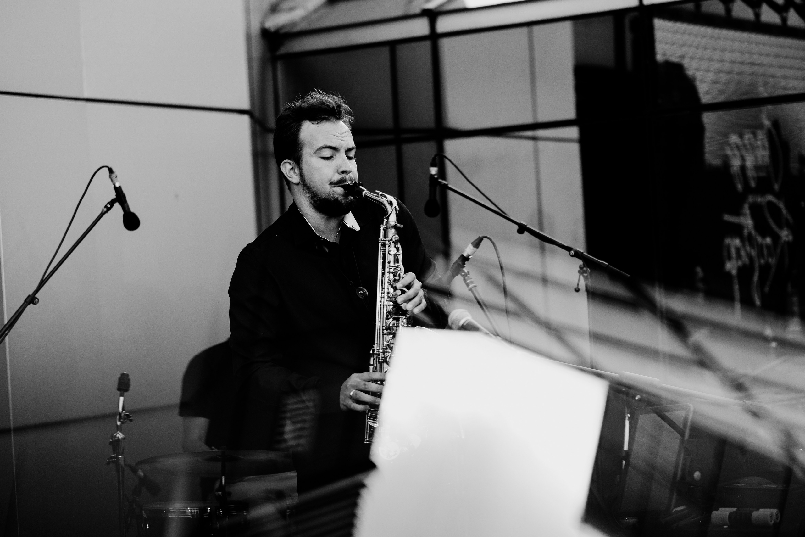 David Luca Trio. Hornetart