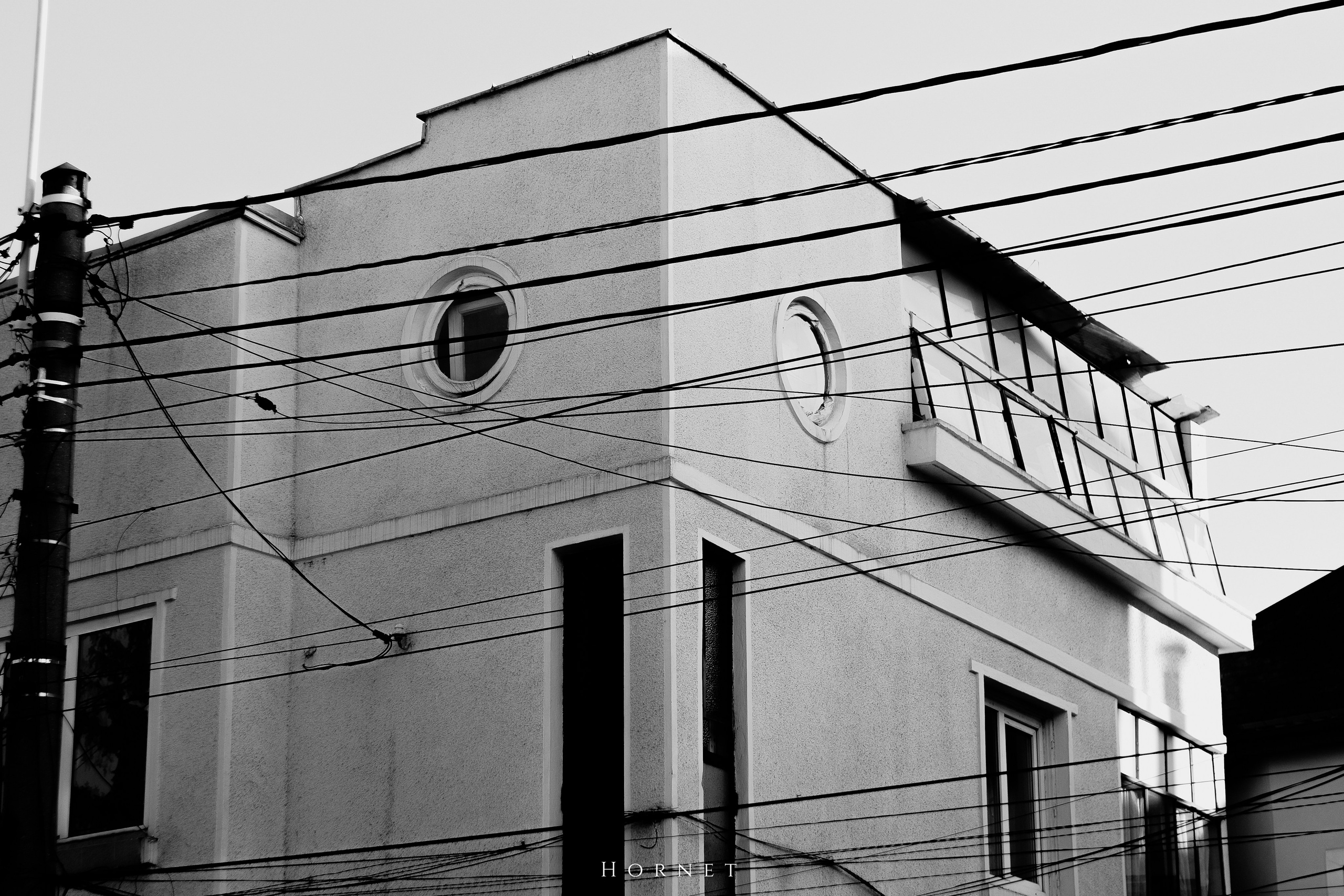 7.02.2025 Ploiesti | Romania. Hornetart