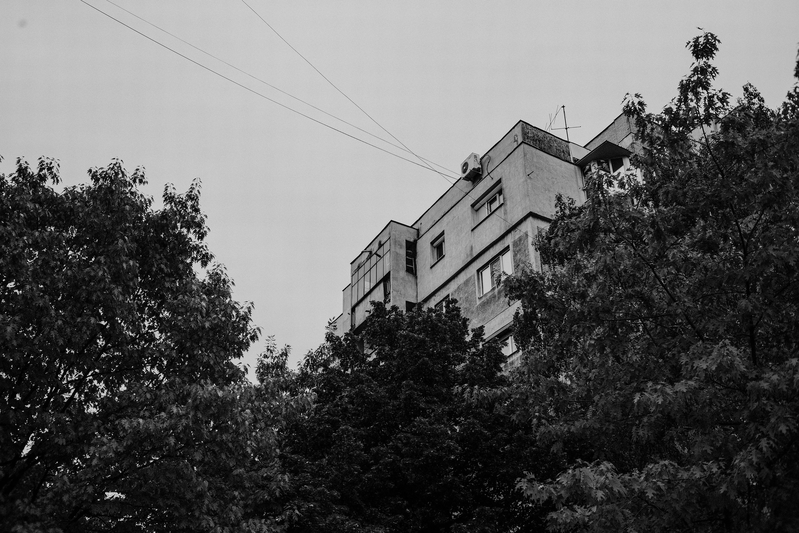 10.05.2025 Ploiesti | Romania. Hornetart