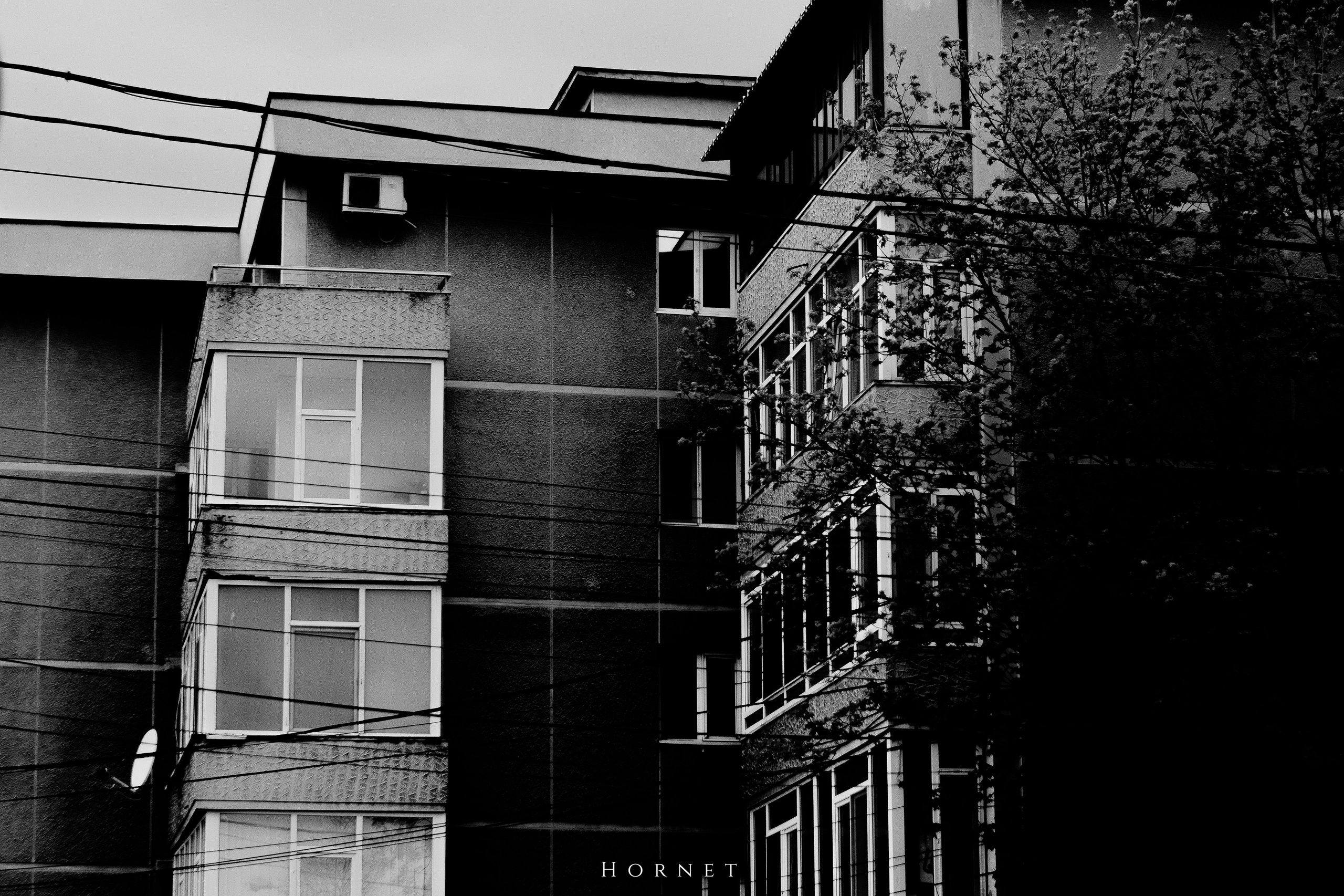 5.04.2025 Ploiesti | Romania. Hornetart
