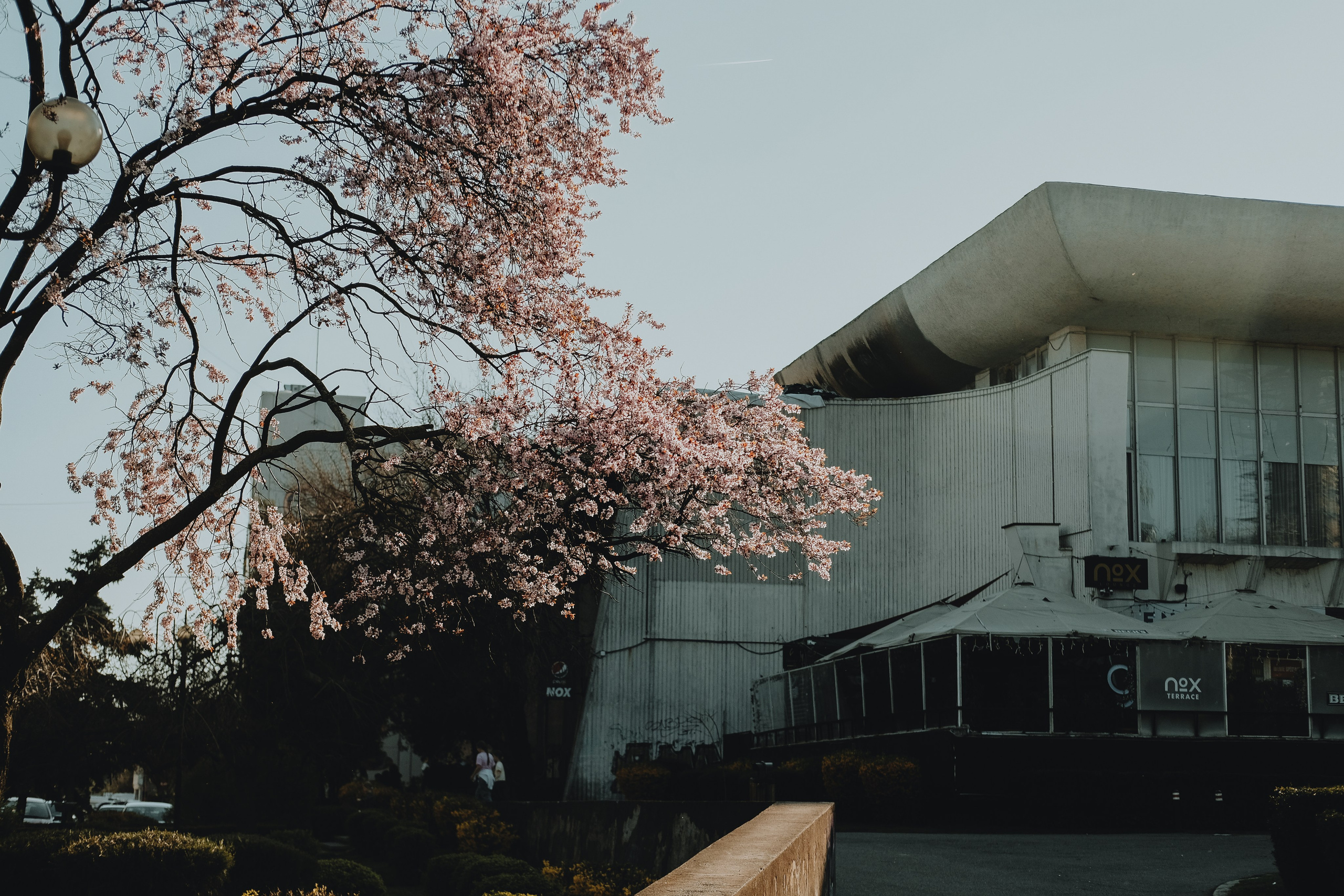 5.04.2026 Ploiesti | Romania. Hornetart