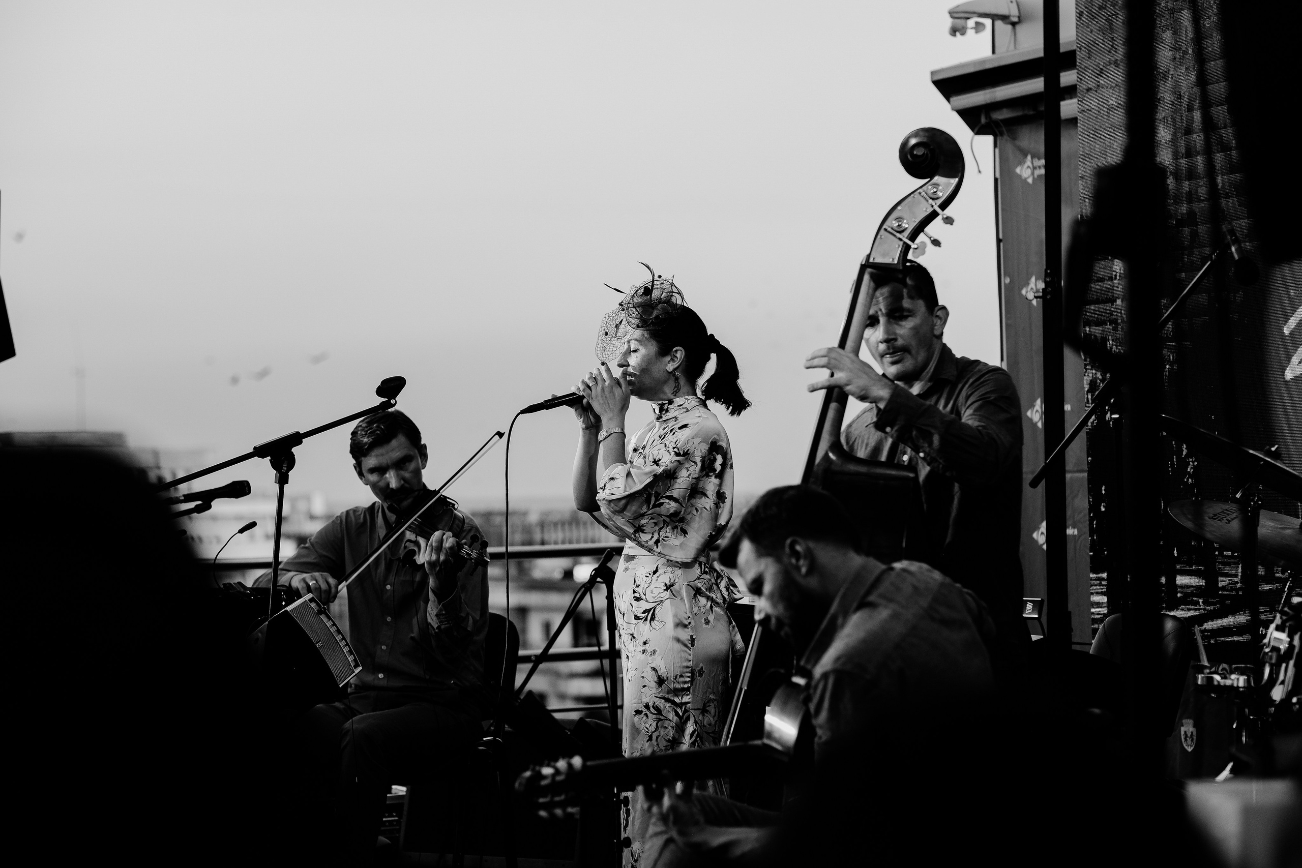 Luiza Zan & Jazzpar Trio. Hornetart
