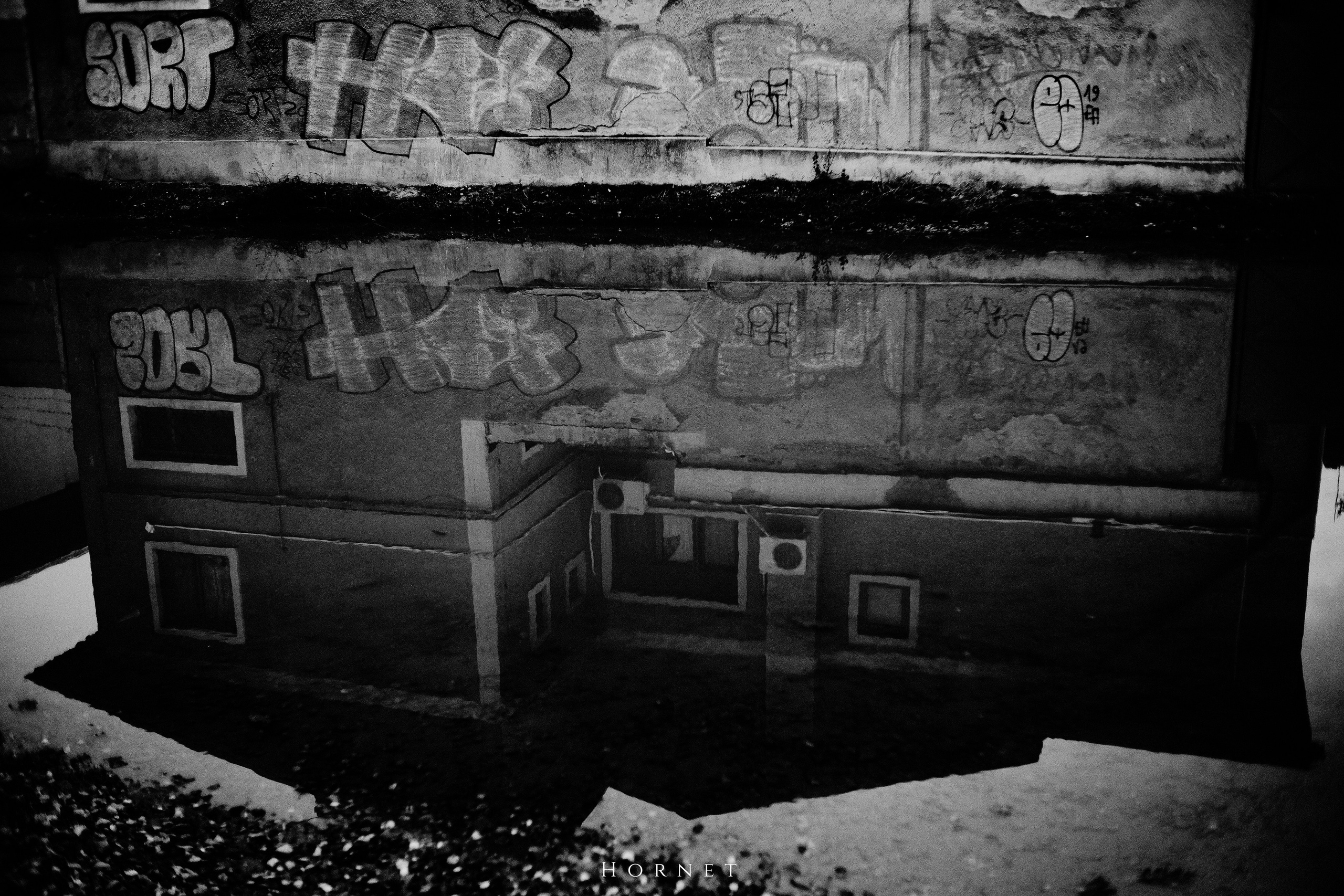 7.01.2025 Ploiesti | Romania. Hornetart