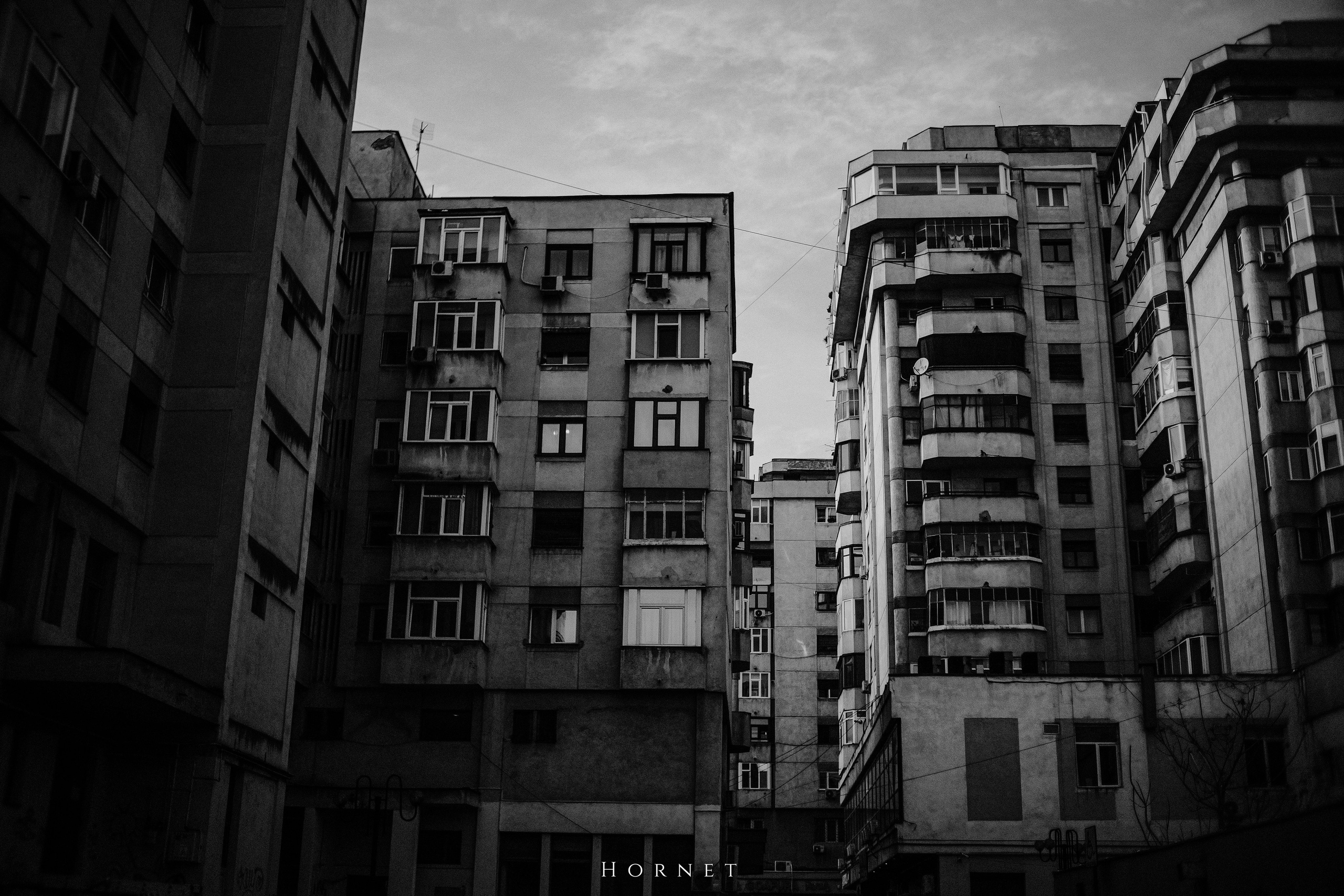 12.01.2025 Ploiesti | Romania. Hornetart