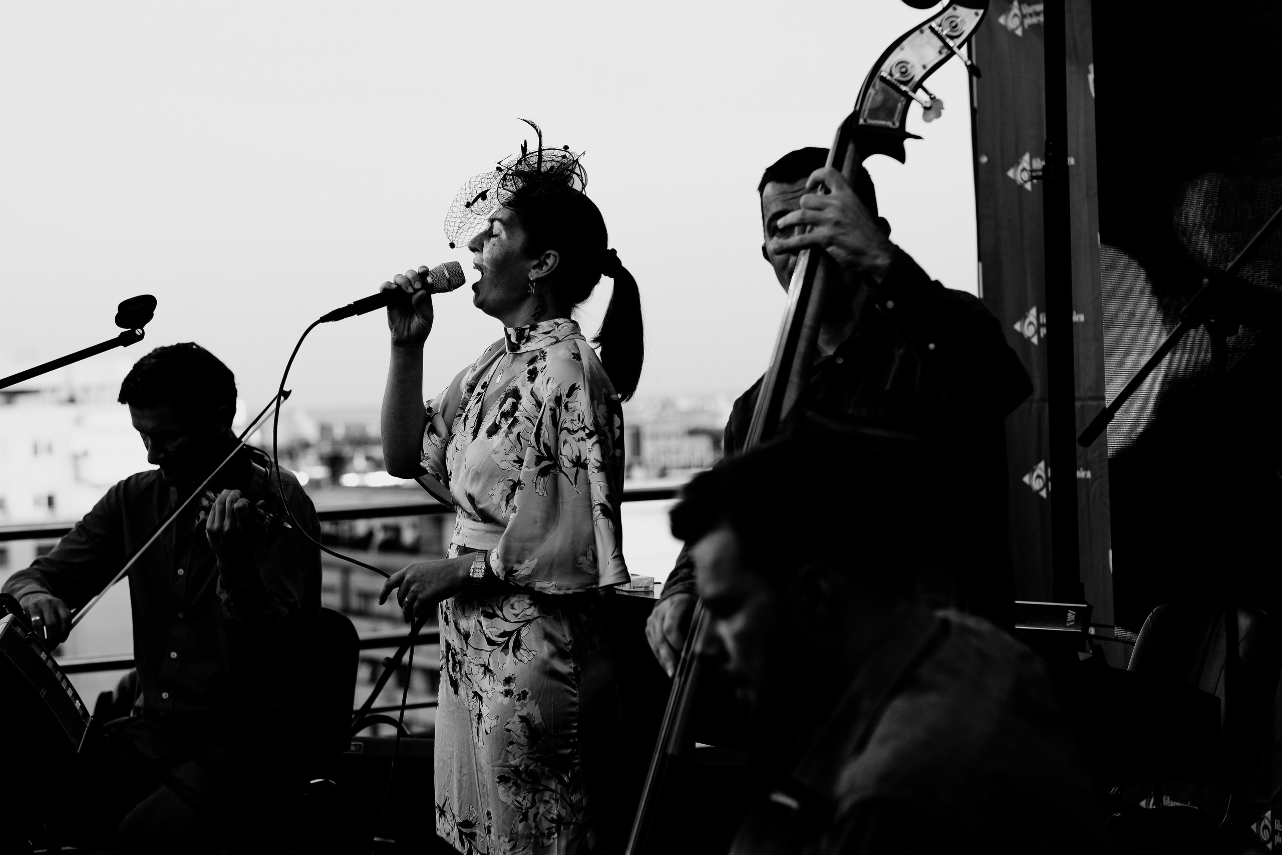 Luiza Zan & Jazzpar Trio. Hornetart