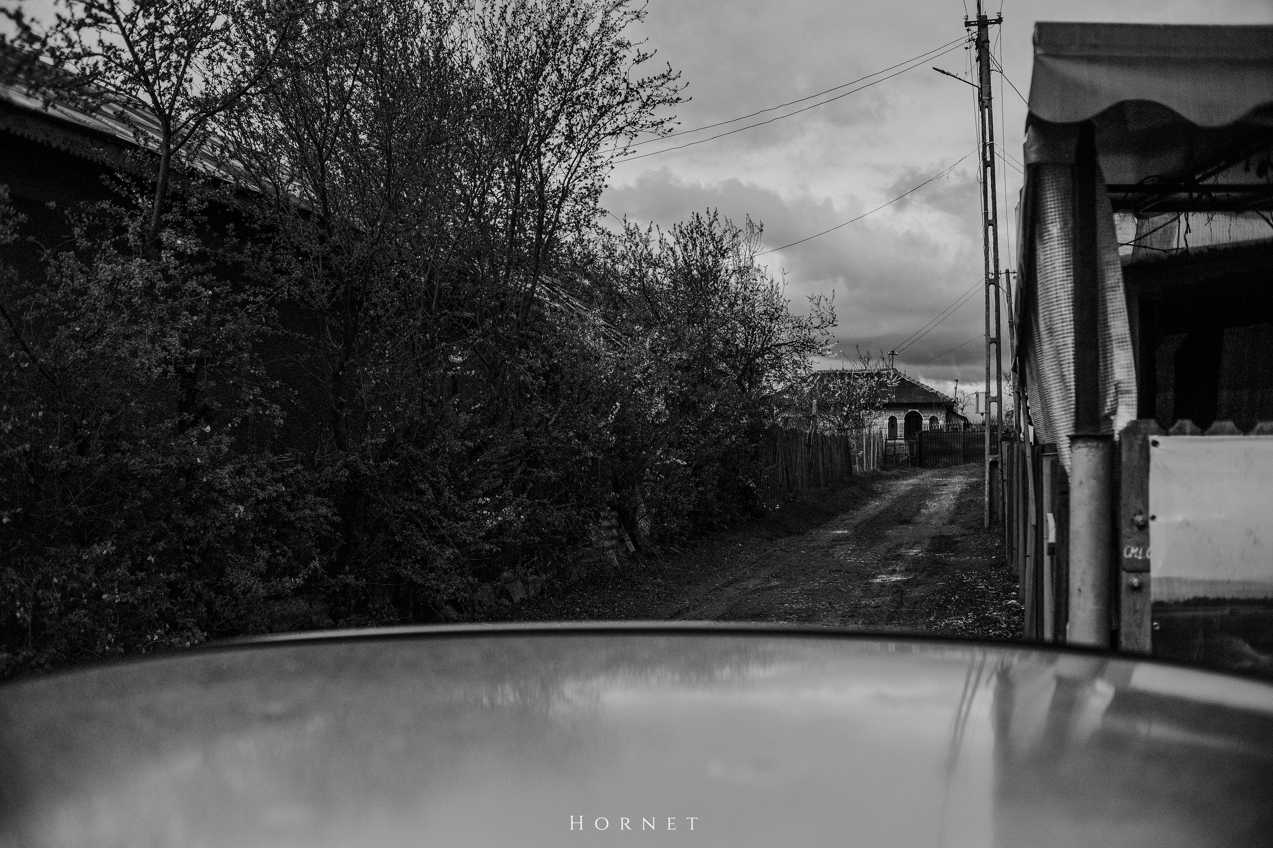 30.03.2025 Buzau | Romania. Hornetart