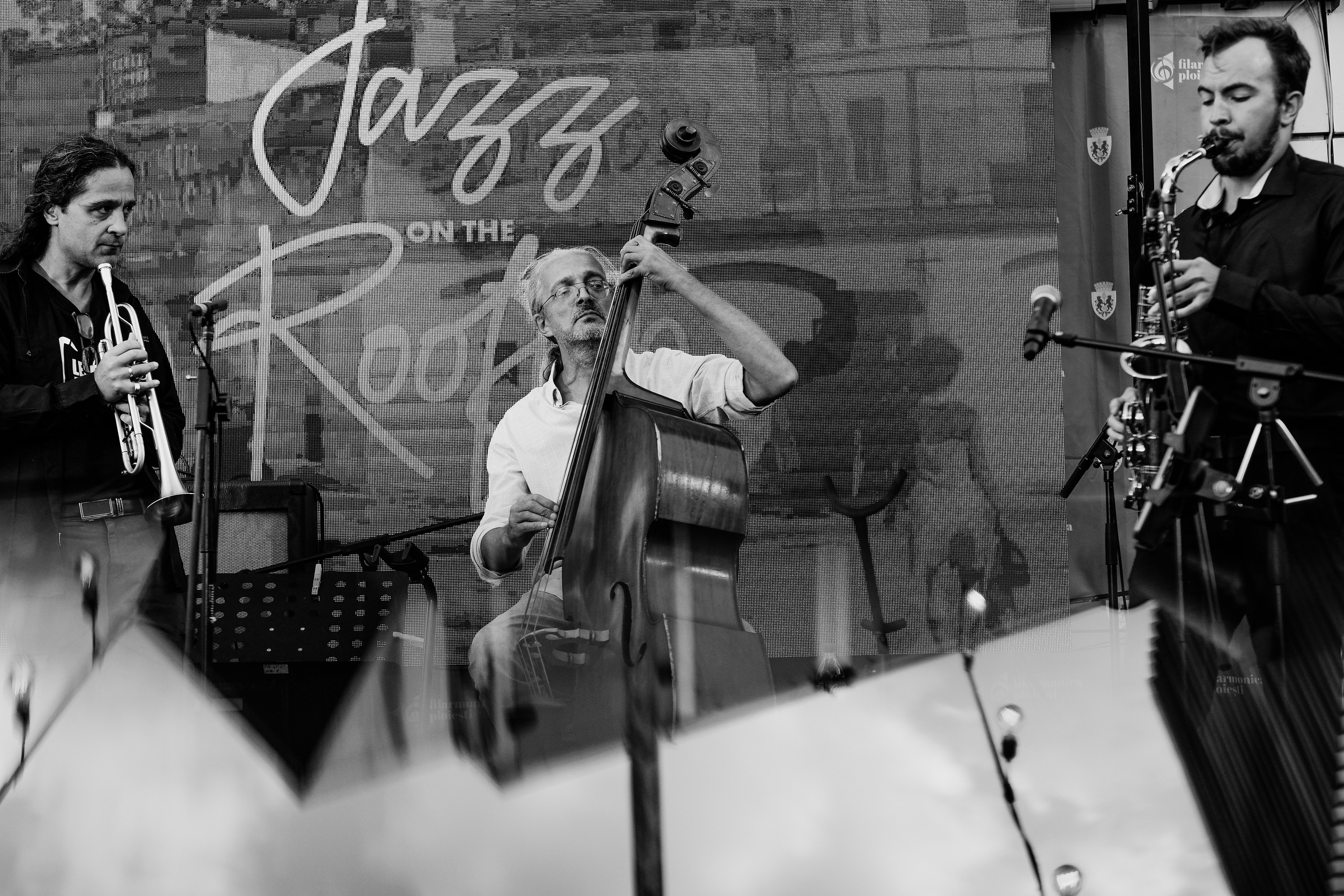David Luca Trio. Hornetart
