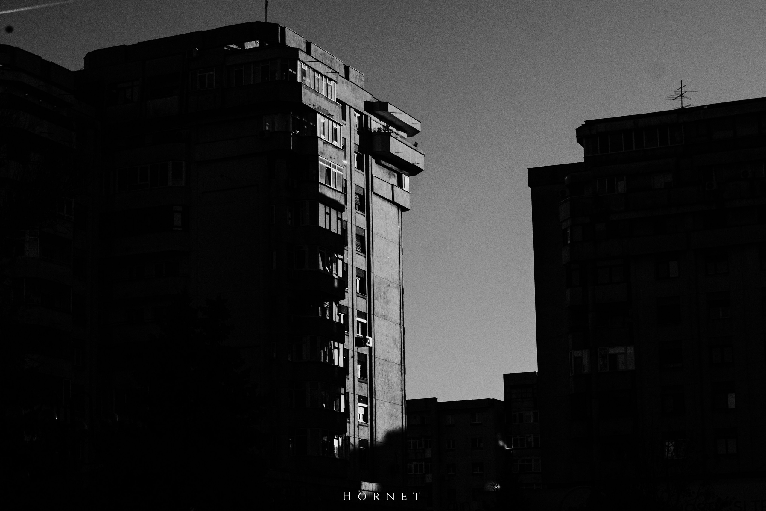 2.11.2025 Ploiesti | Romania. Hornetart