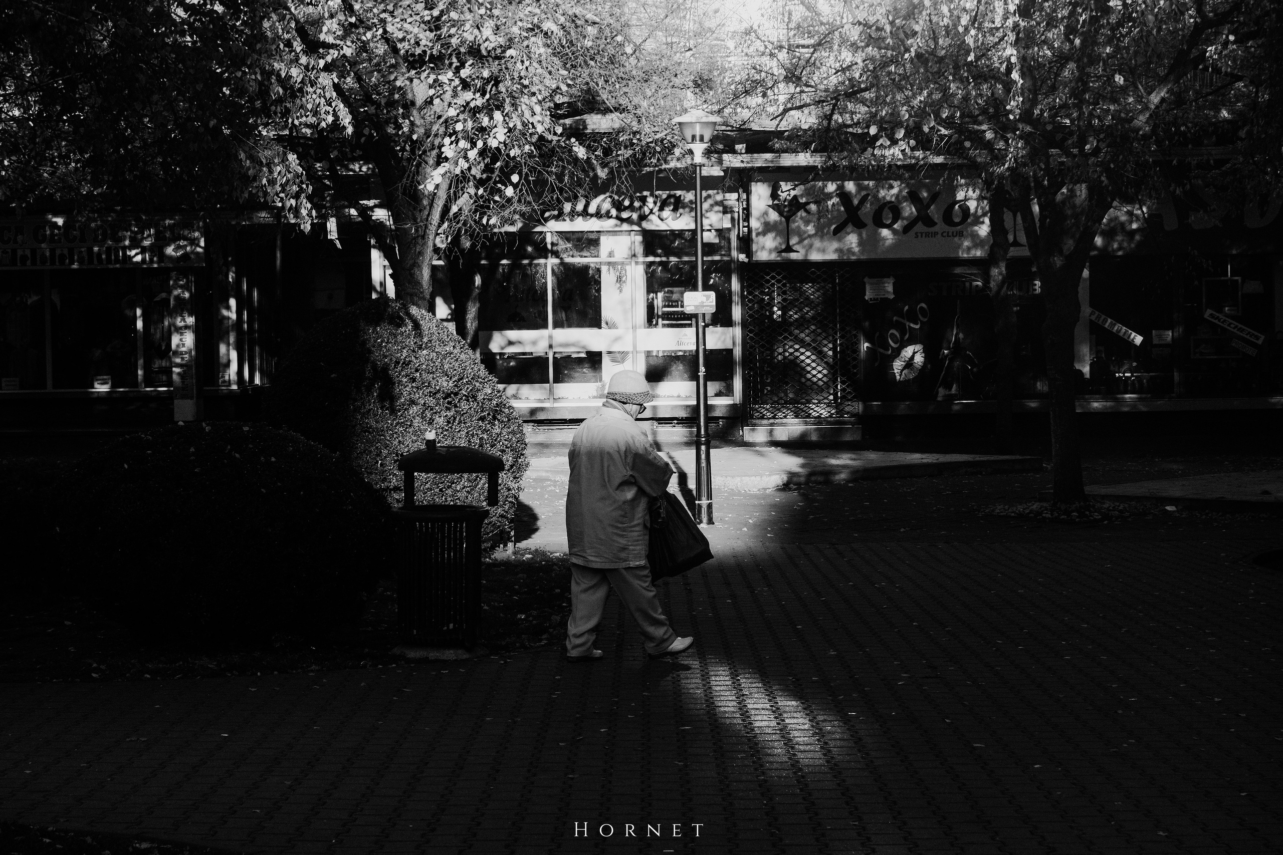 2.11.2025 Ploiesti | Romania. Hornetart