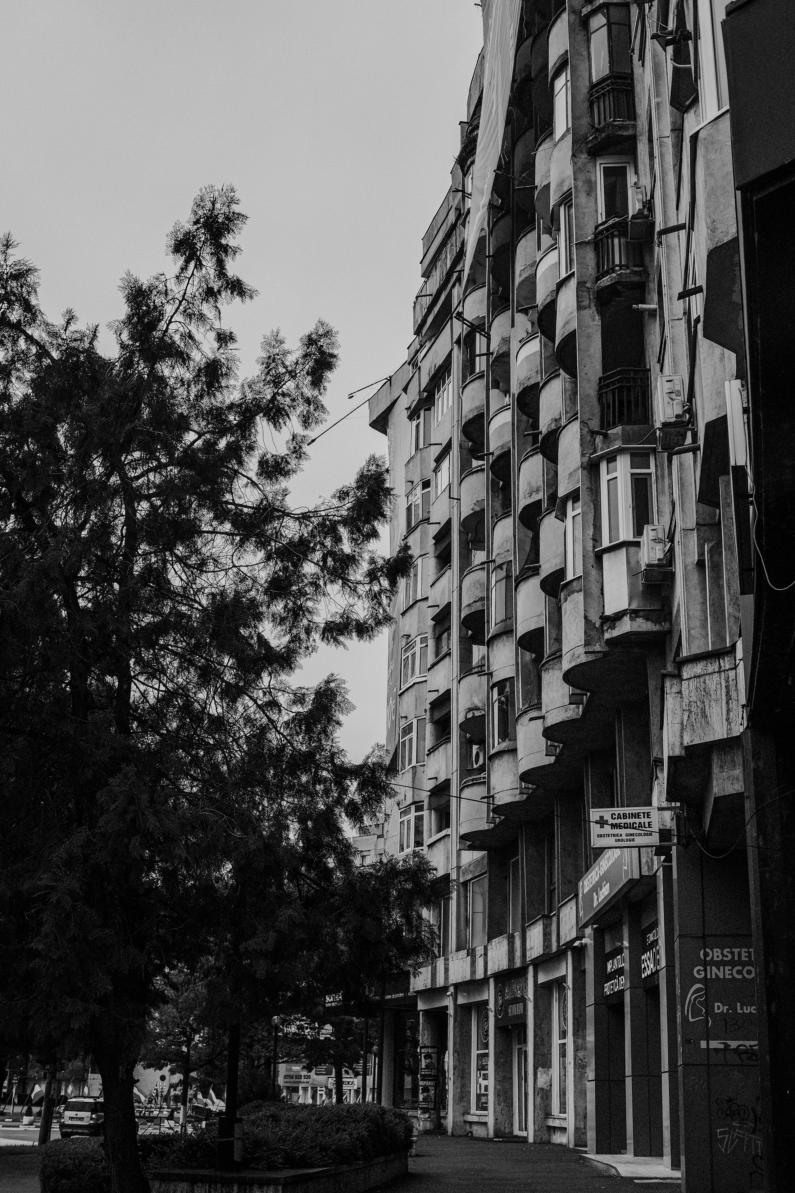 10.05.2025 Ploiesti | Romania. Hornetart