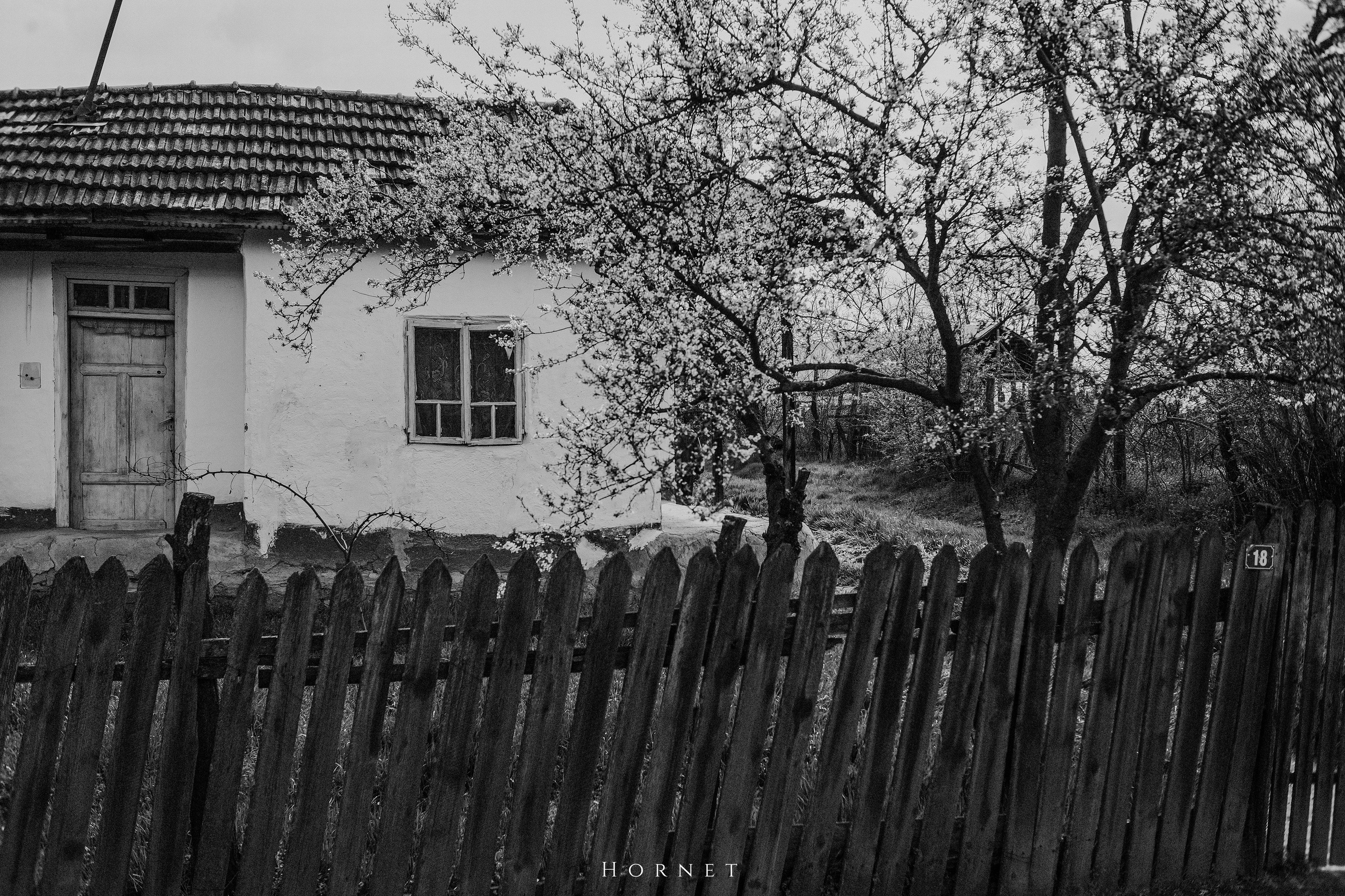 30.03.2025 Buzau | Romania. Hornetart