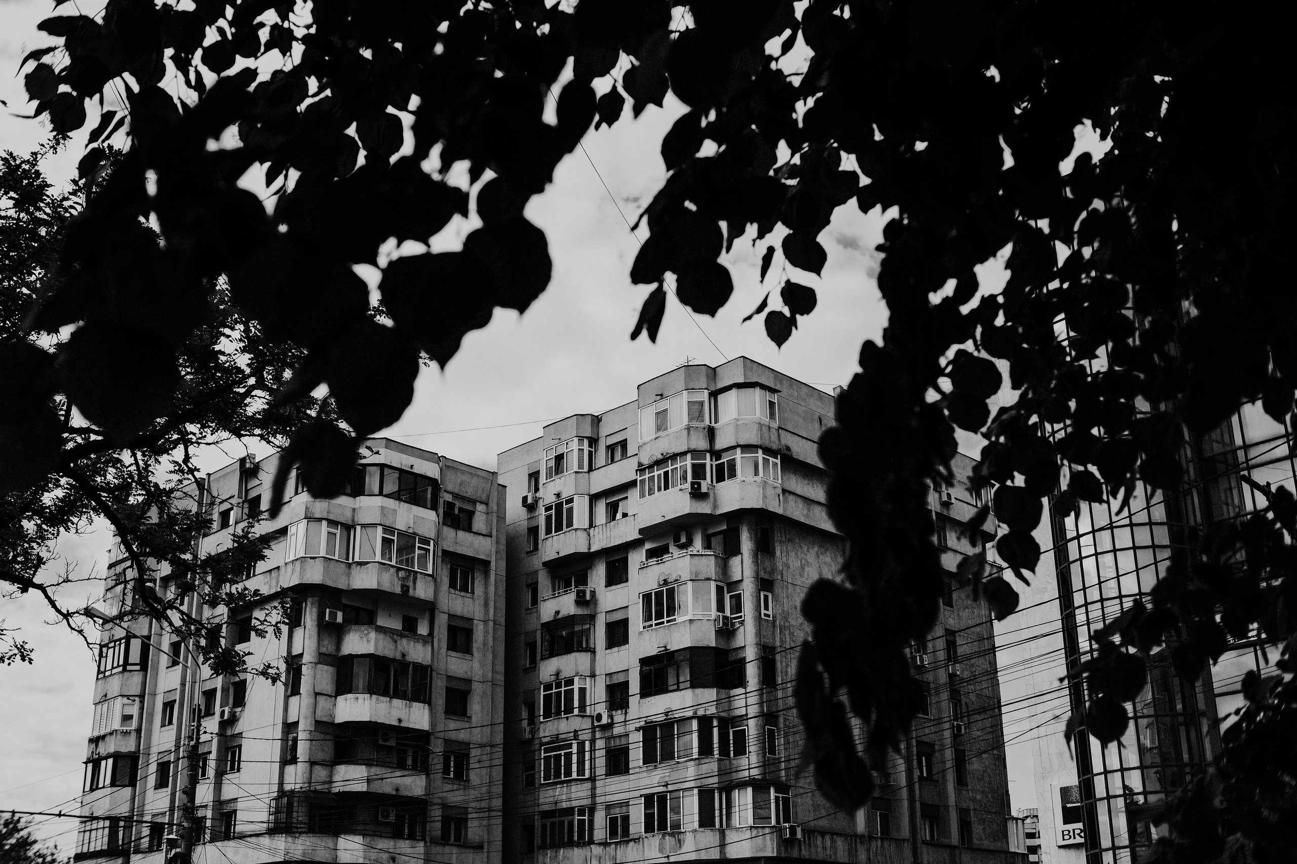 10.05.2025 Ploiesti | Romania. Hornetart