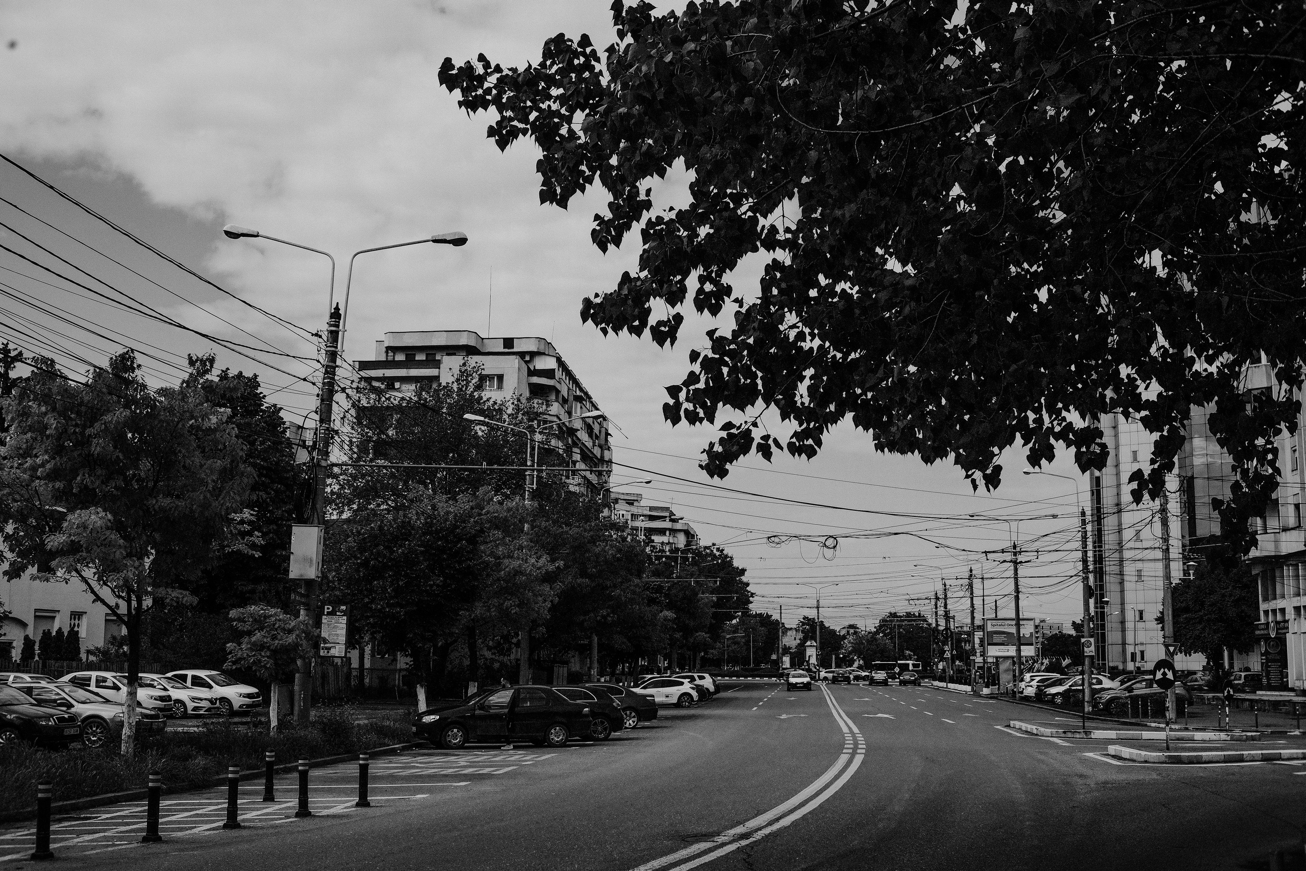 10.05.2025 Ploiesti | Romania. Hornetart