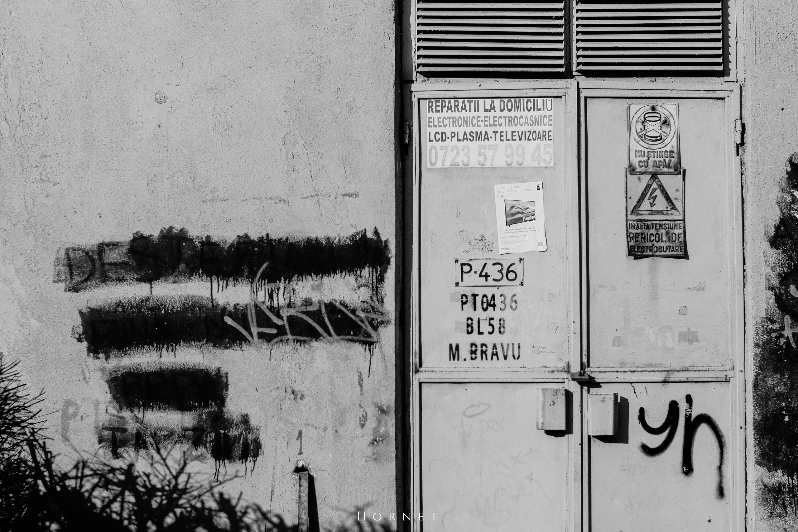 7.02.2025 Ploiesti | Romania. Hornetart