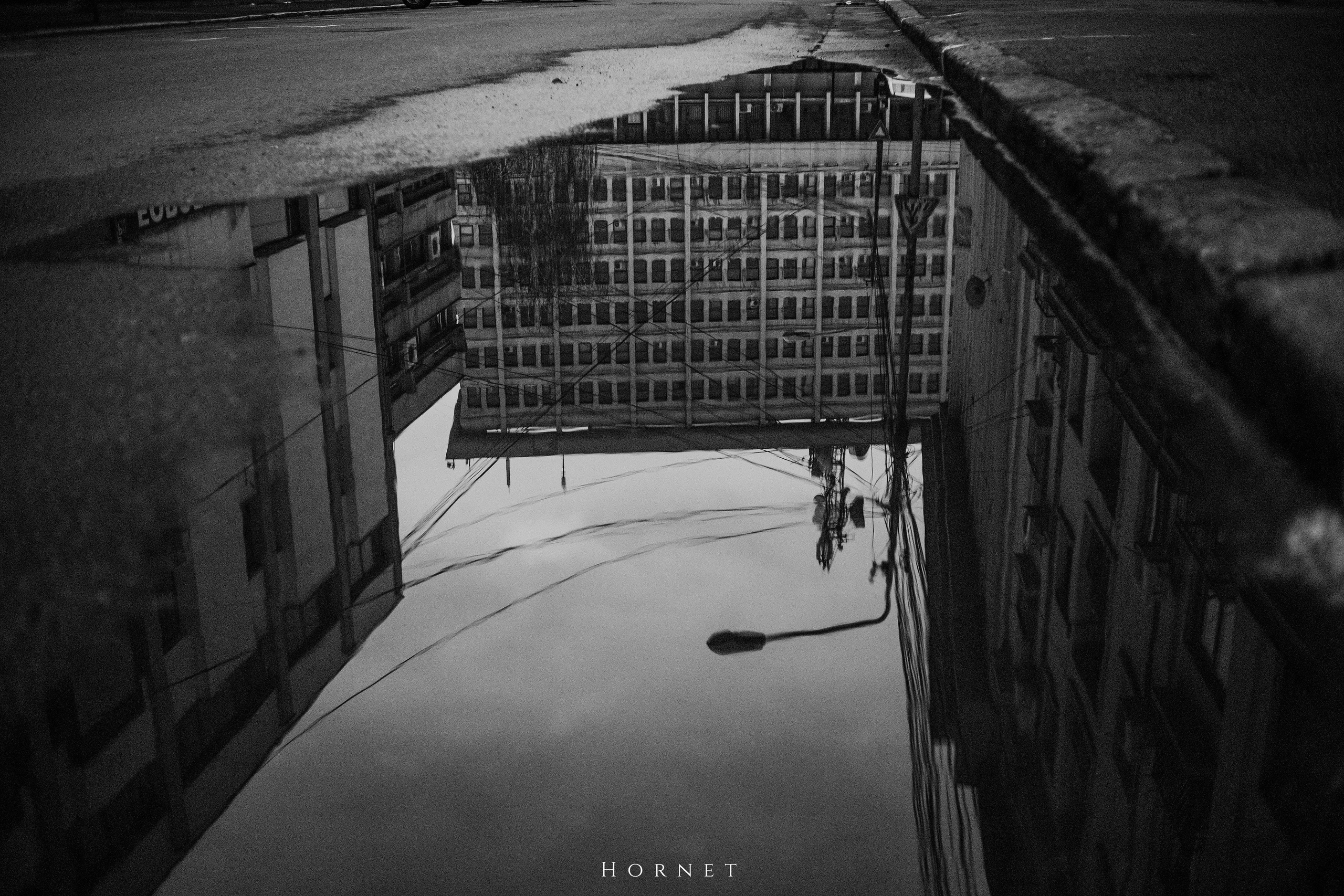 29.03.2025 Ploiesti | Romania. Hornetart