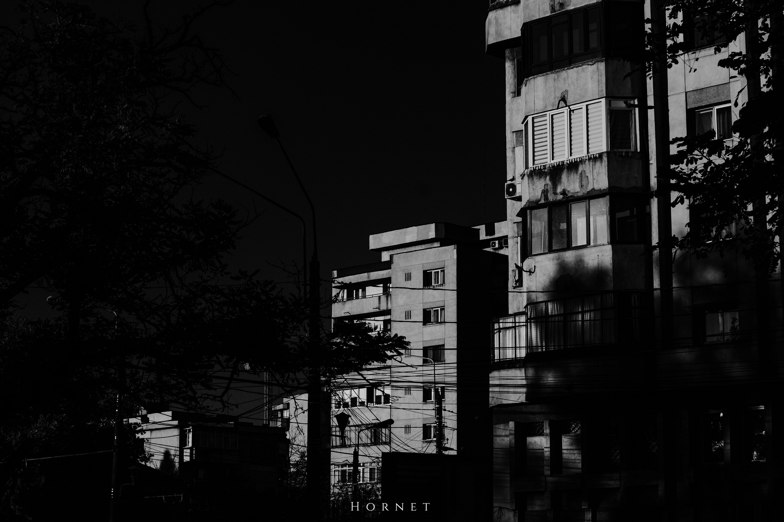 2.11.2025 Ploiesti | Romania. Hornetart