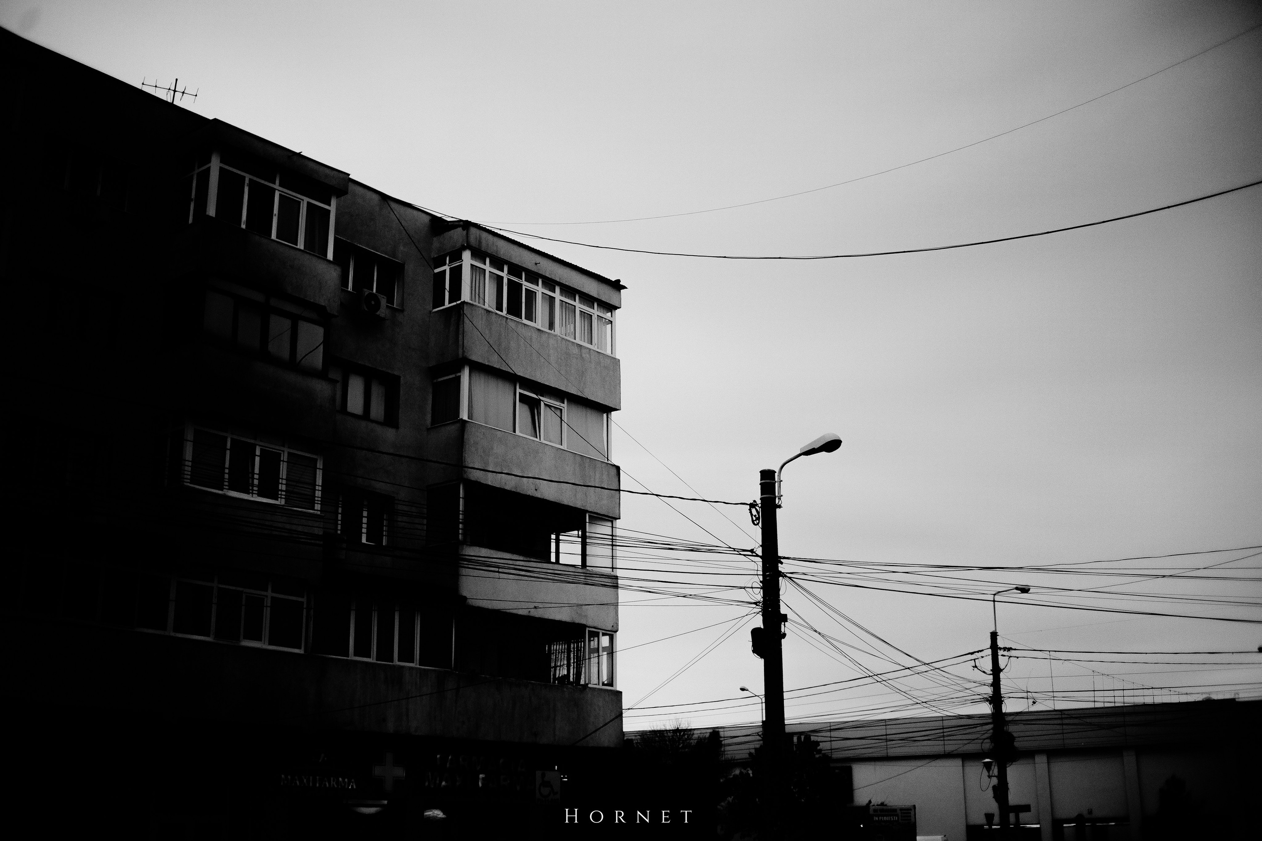 7.01.2025 Ploiesti | Romania. Hornetart