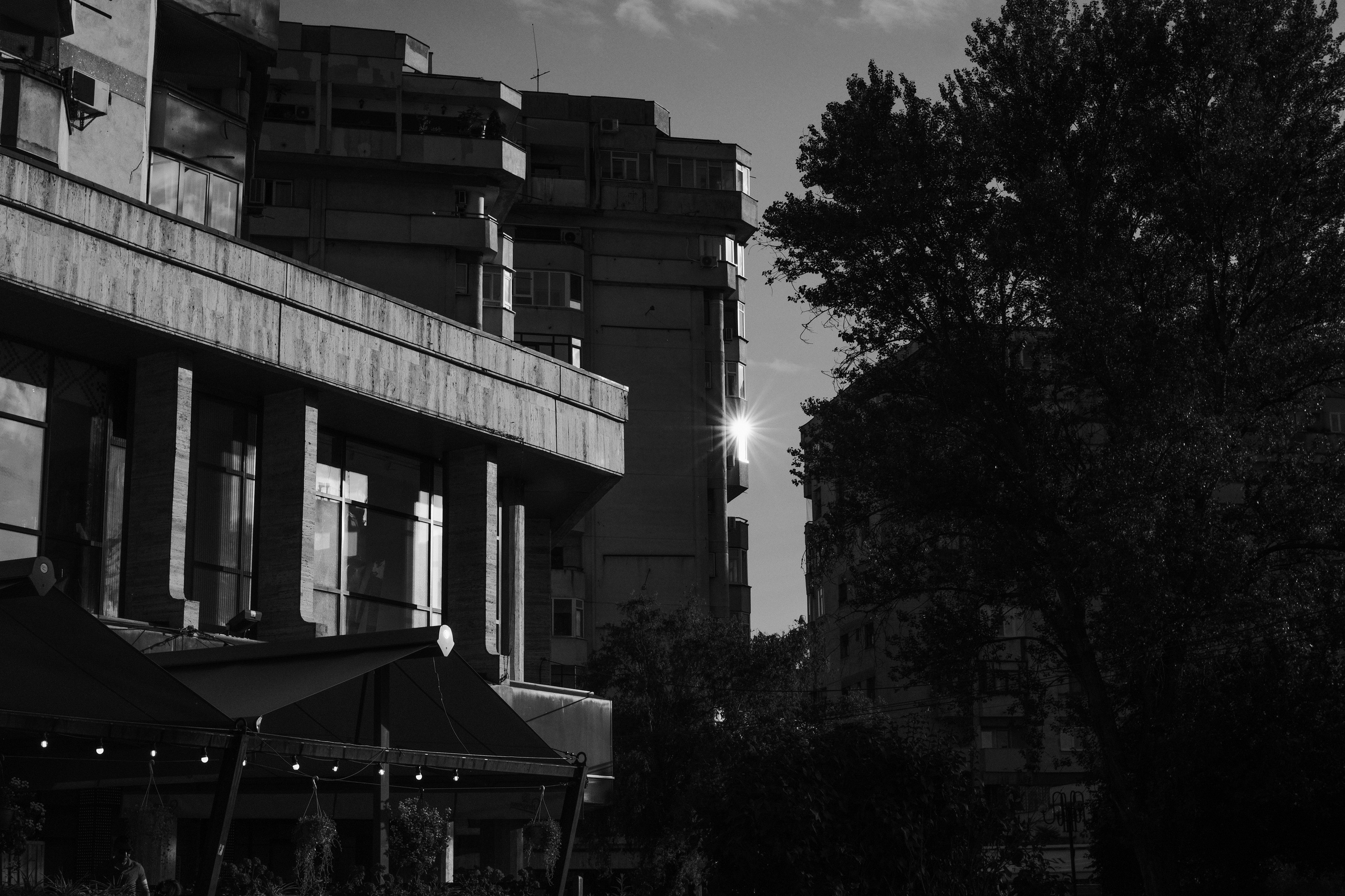 21.06.2025 Ploiesti | Romania. Hornetart