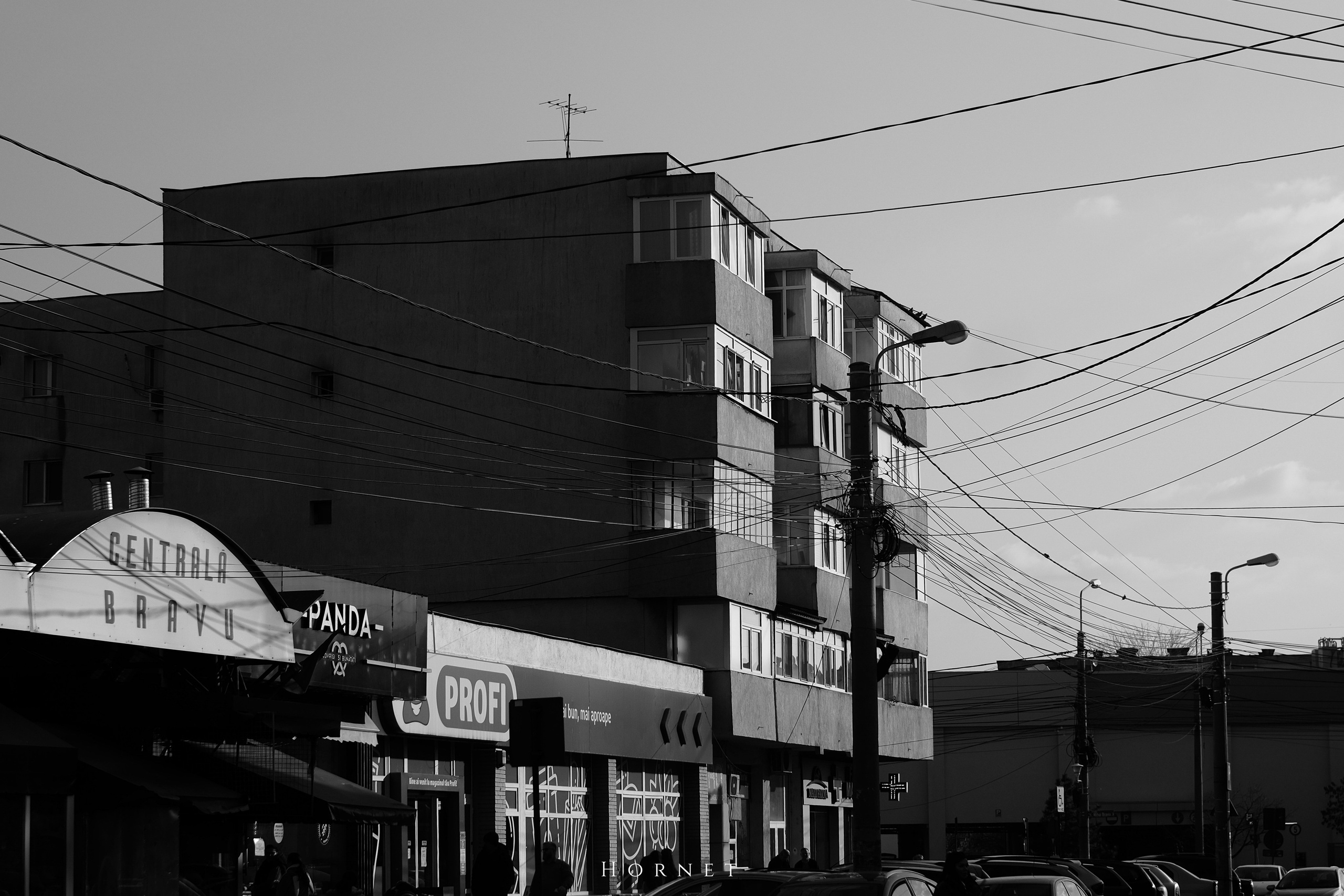7.02.2025 Ploiesti | Romania. Hornetart