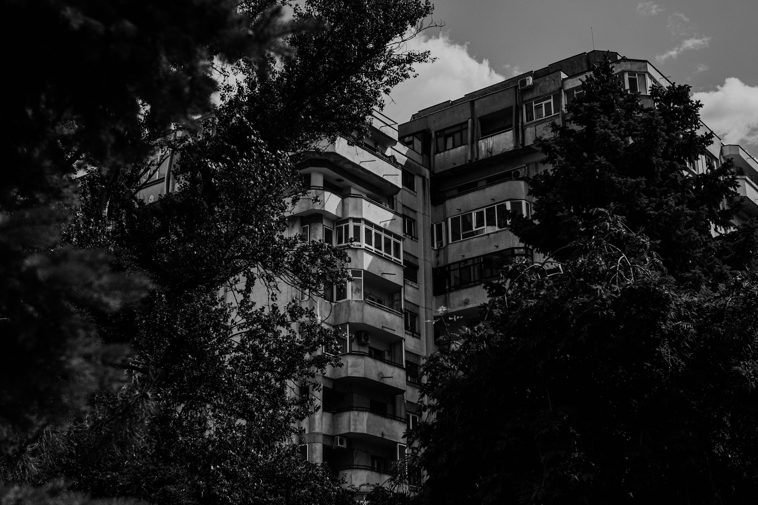 21.06.2025 Ploiesti | Romania. Hornetart