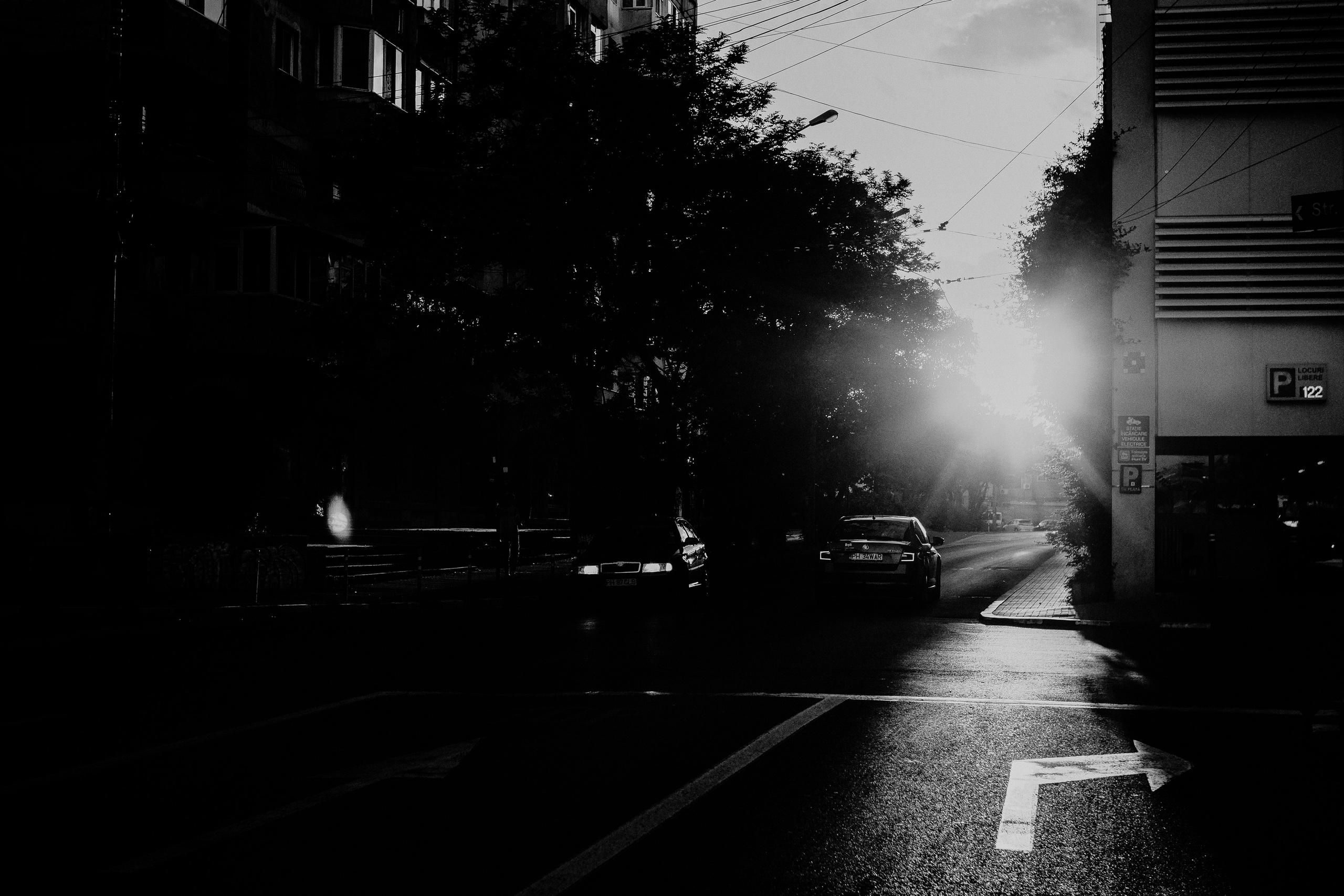 21.06.2025 Ploiesti | Romania. Hornetart