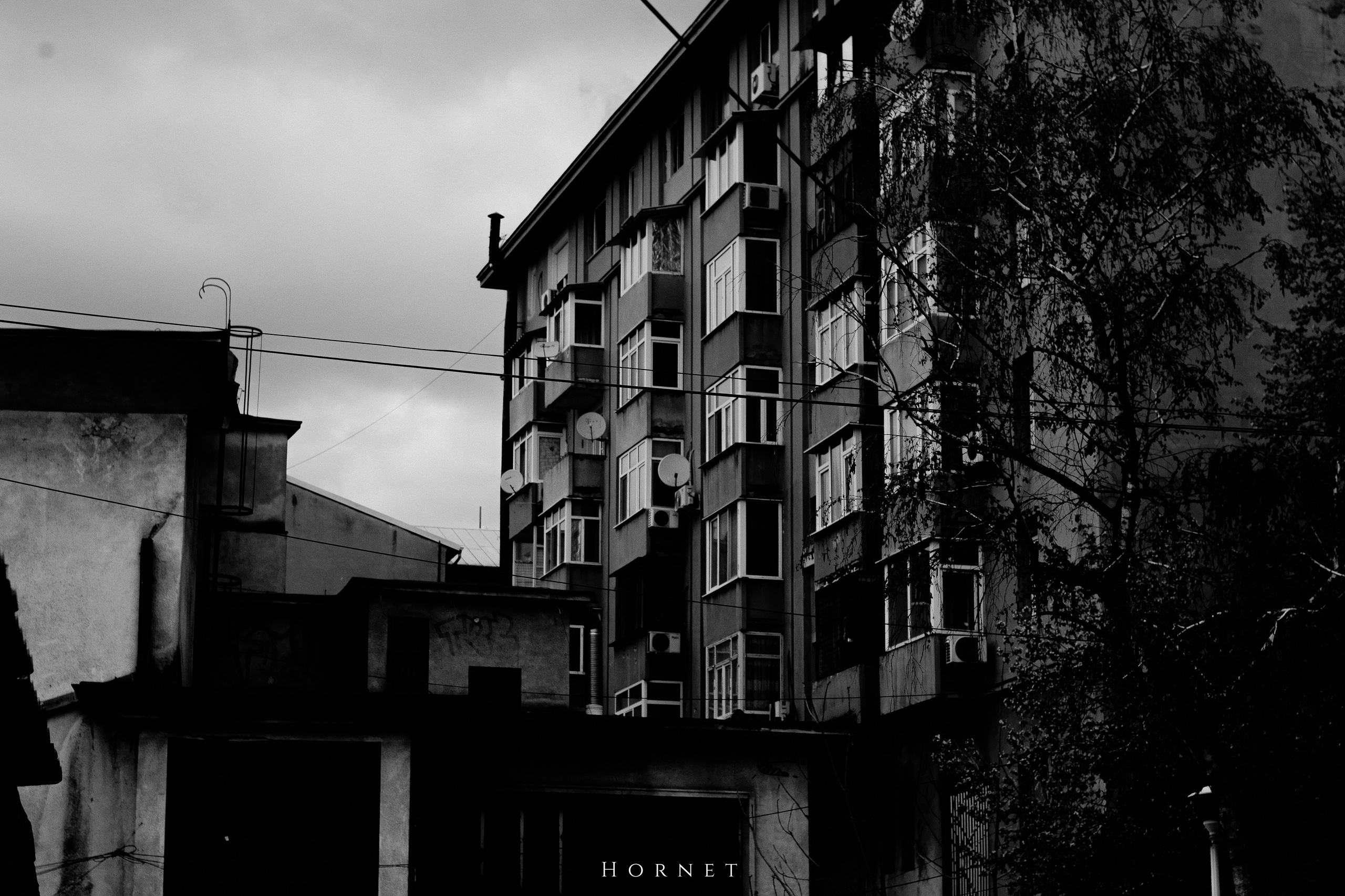 5.04.2025 Ploiesti | Romania. Hornetart