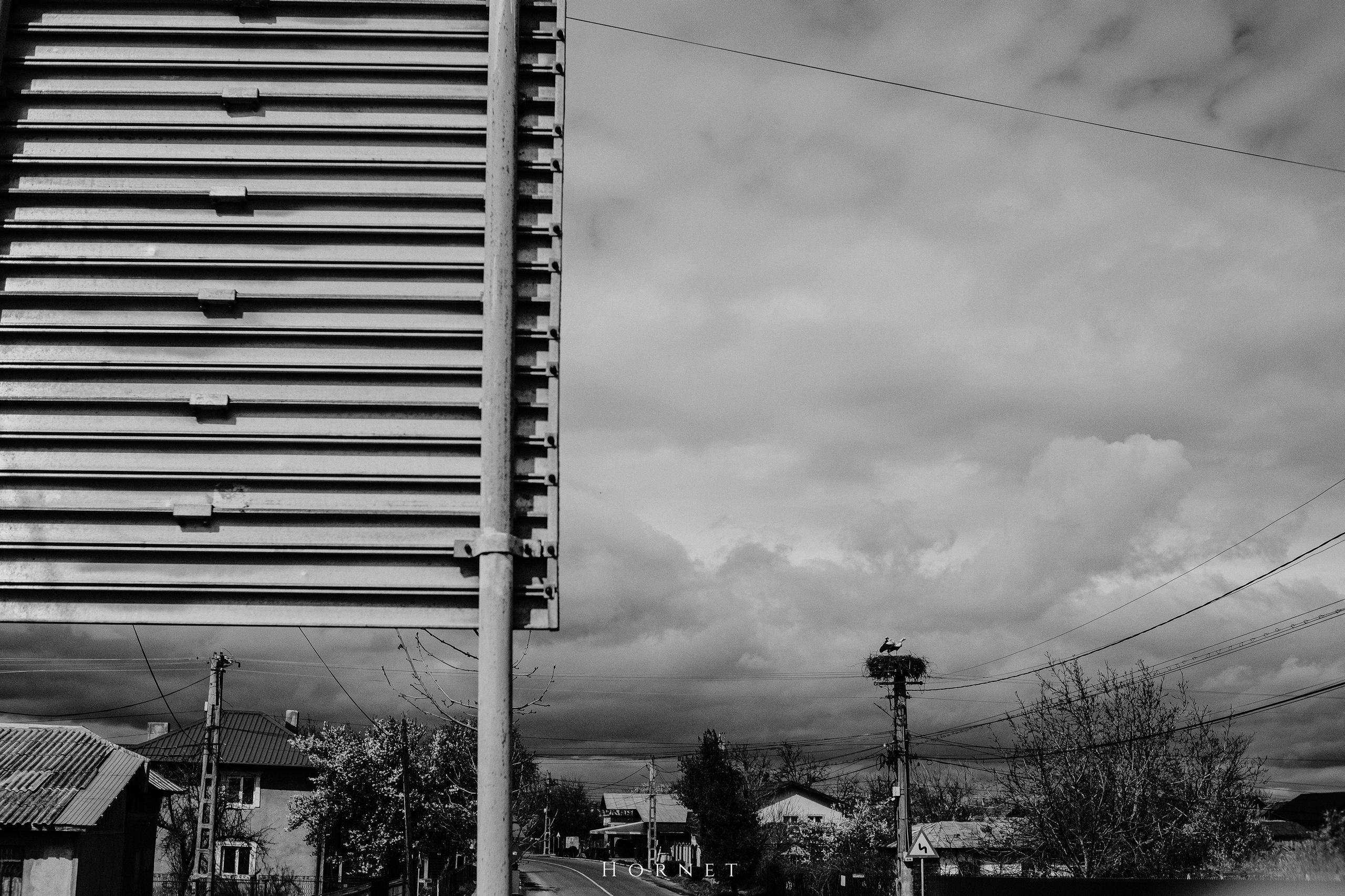 30.03.2025 Buzau | Romania. Hornetart
