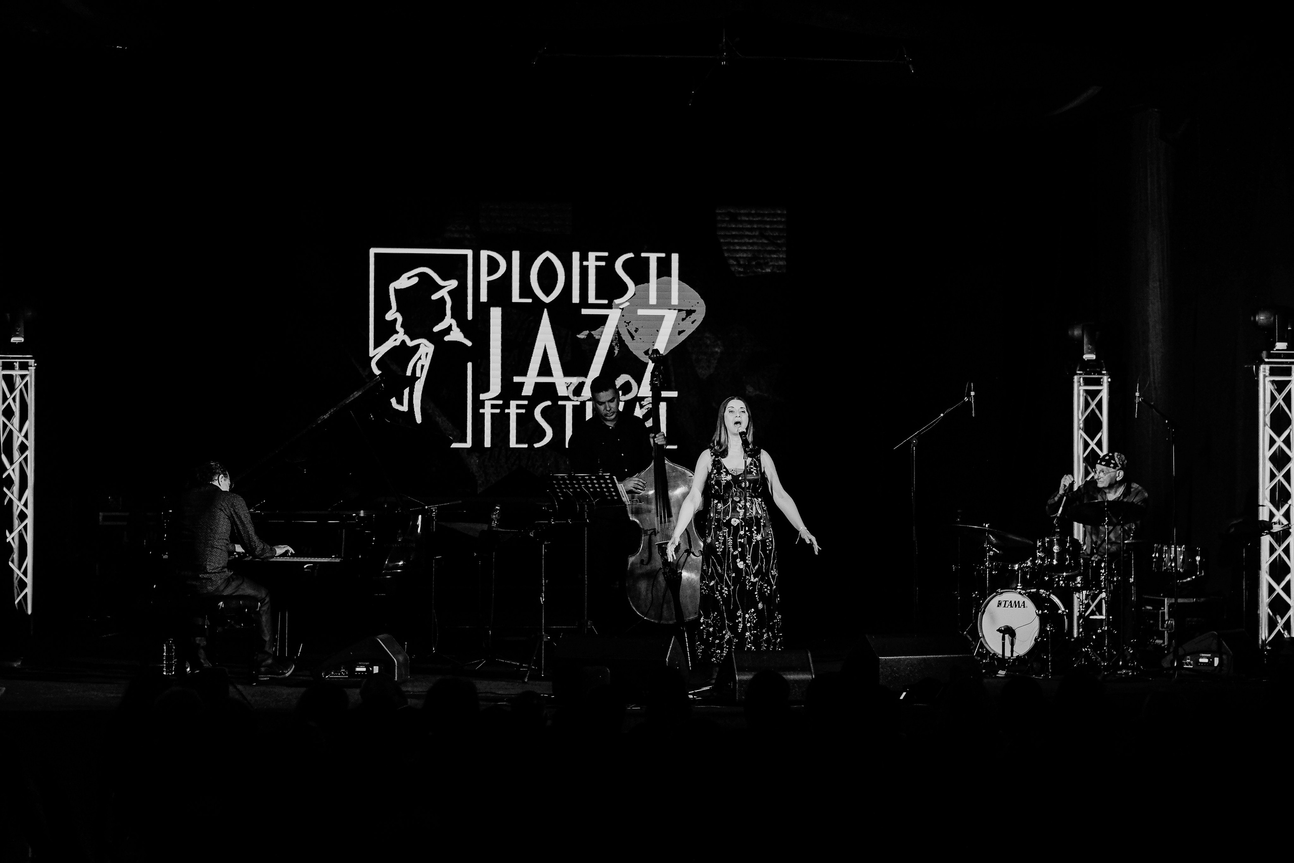 Daphna Levy Project. Hornetart